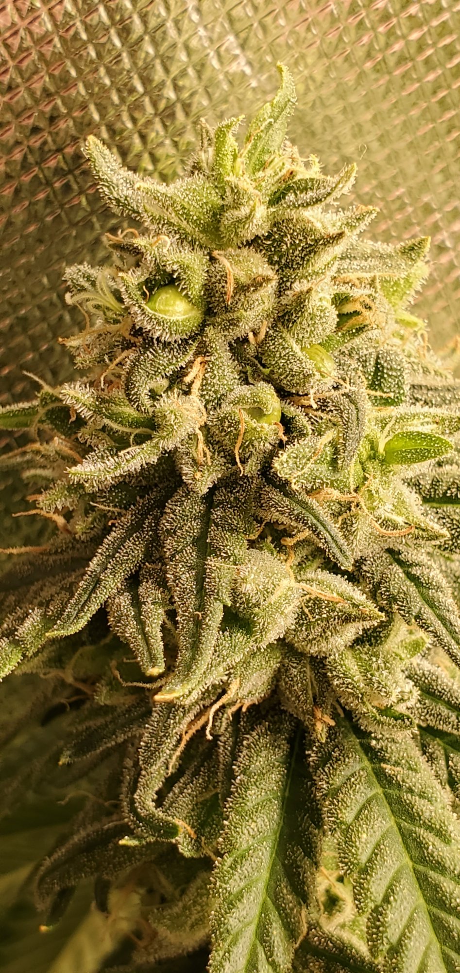 20210102 201911