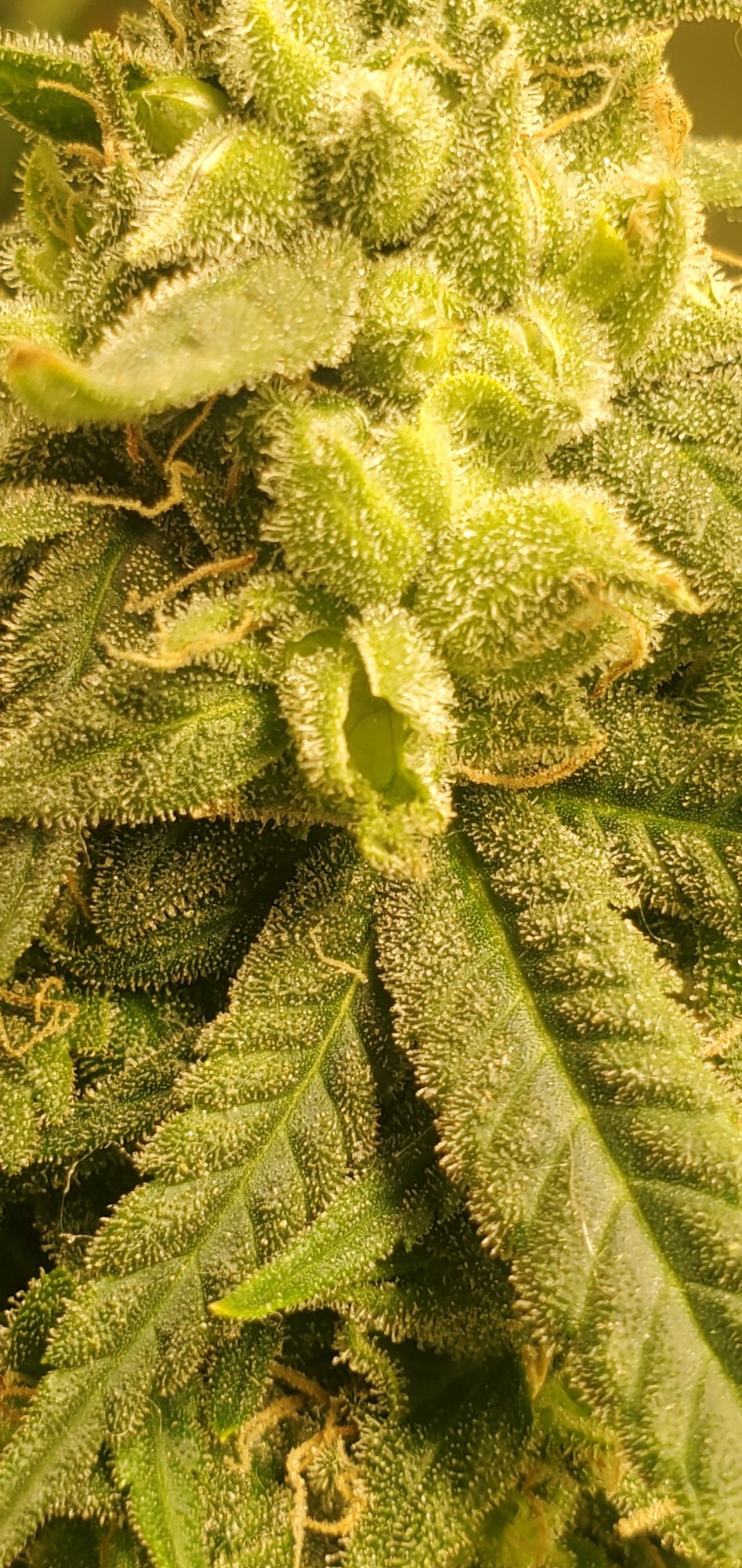 20210109 101747