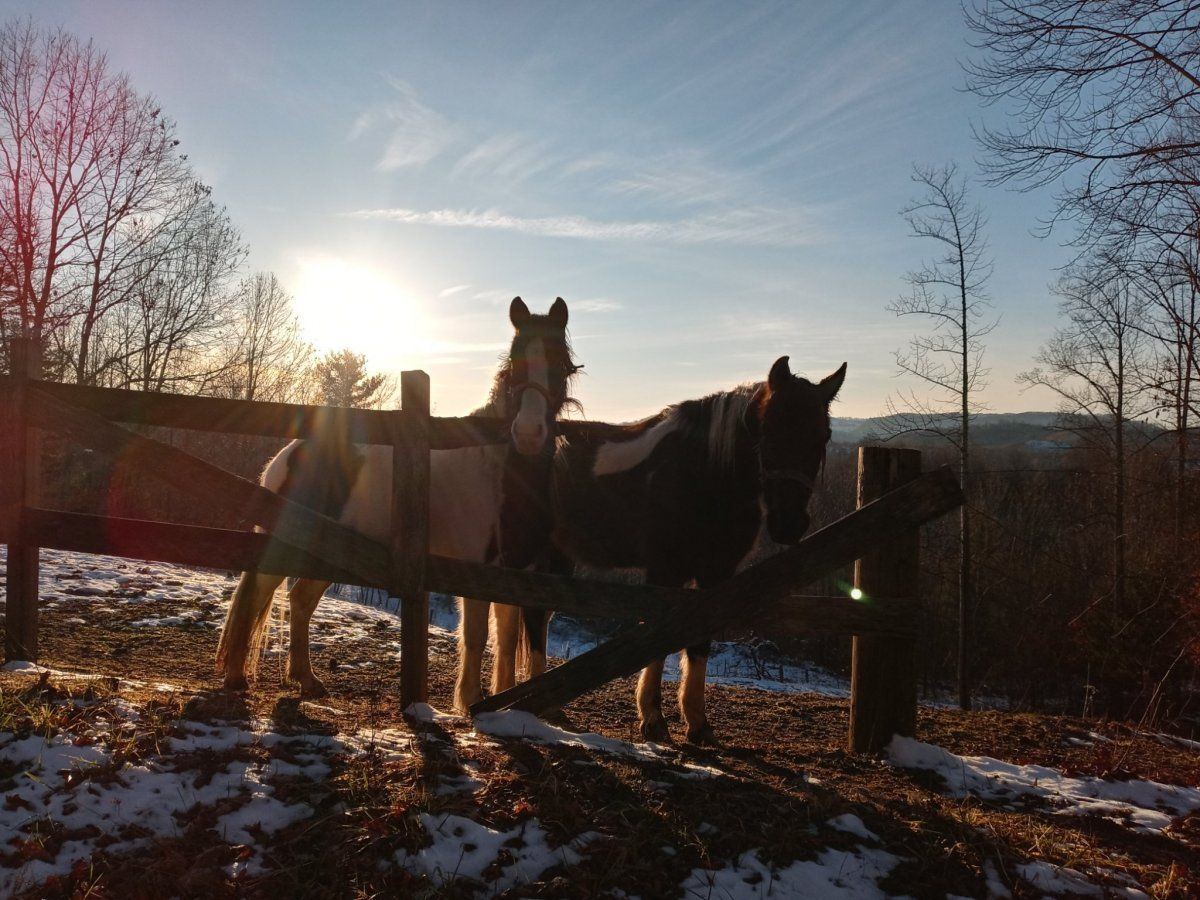20210110 164648 HDR