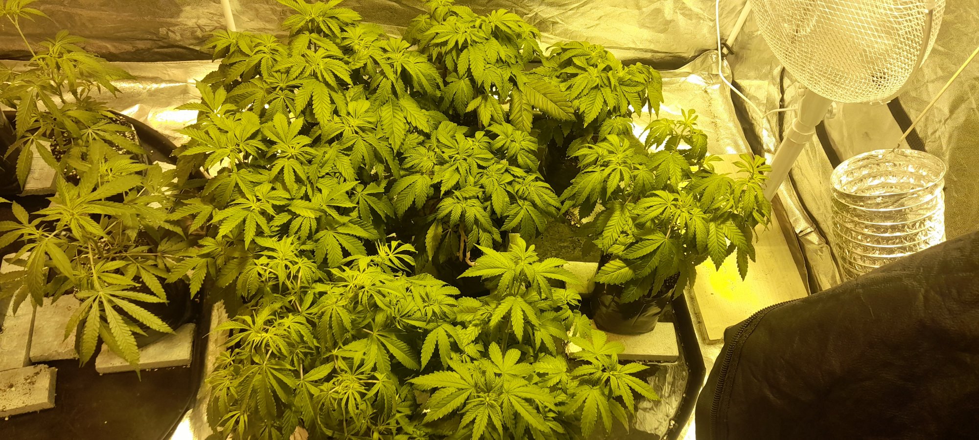 20210116 123911