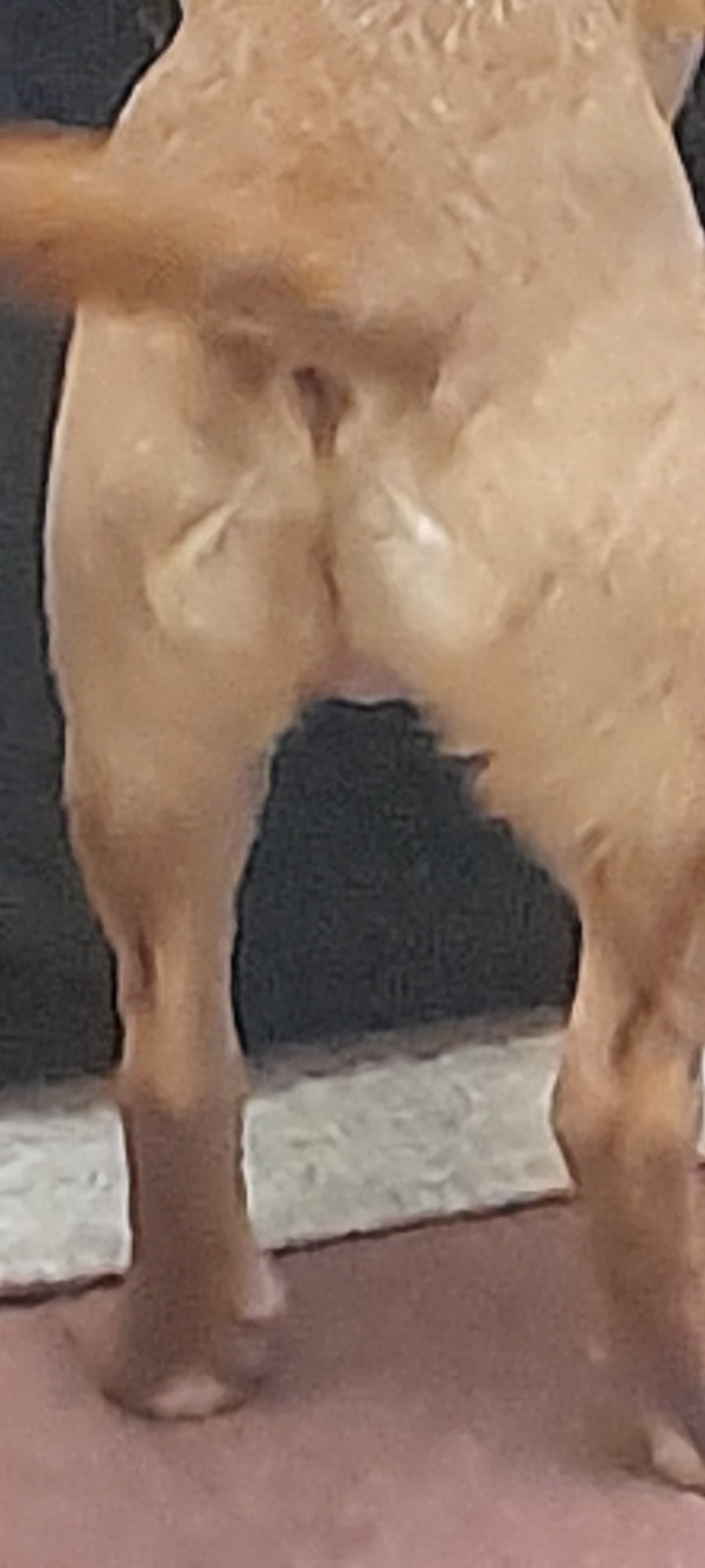 20210119 014653
