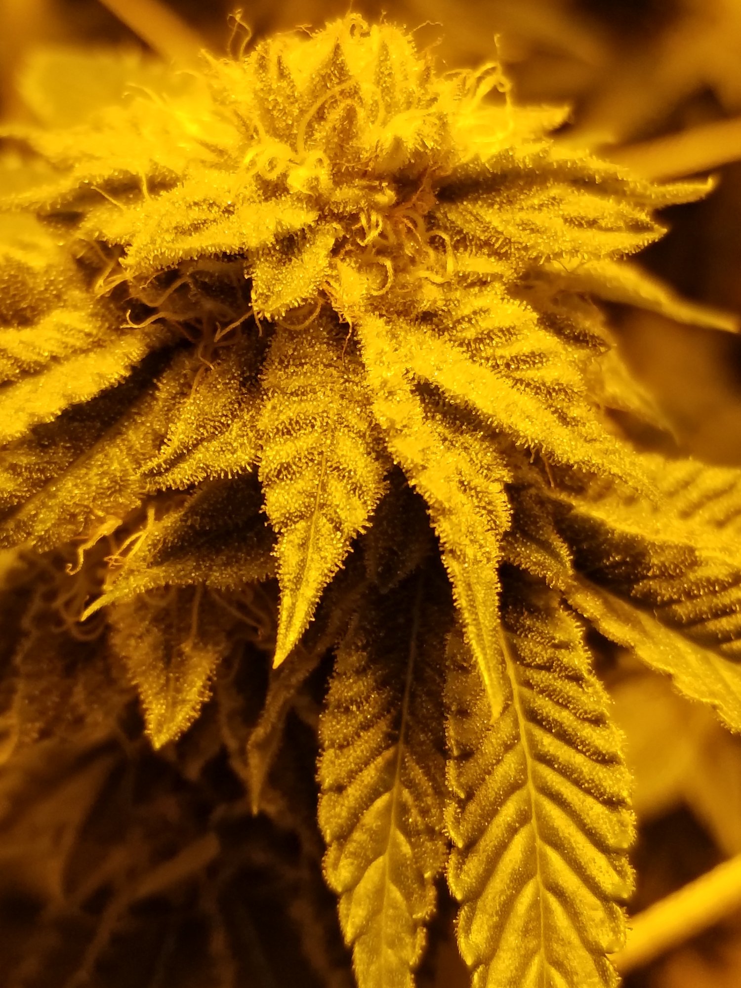 20210127 171809