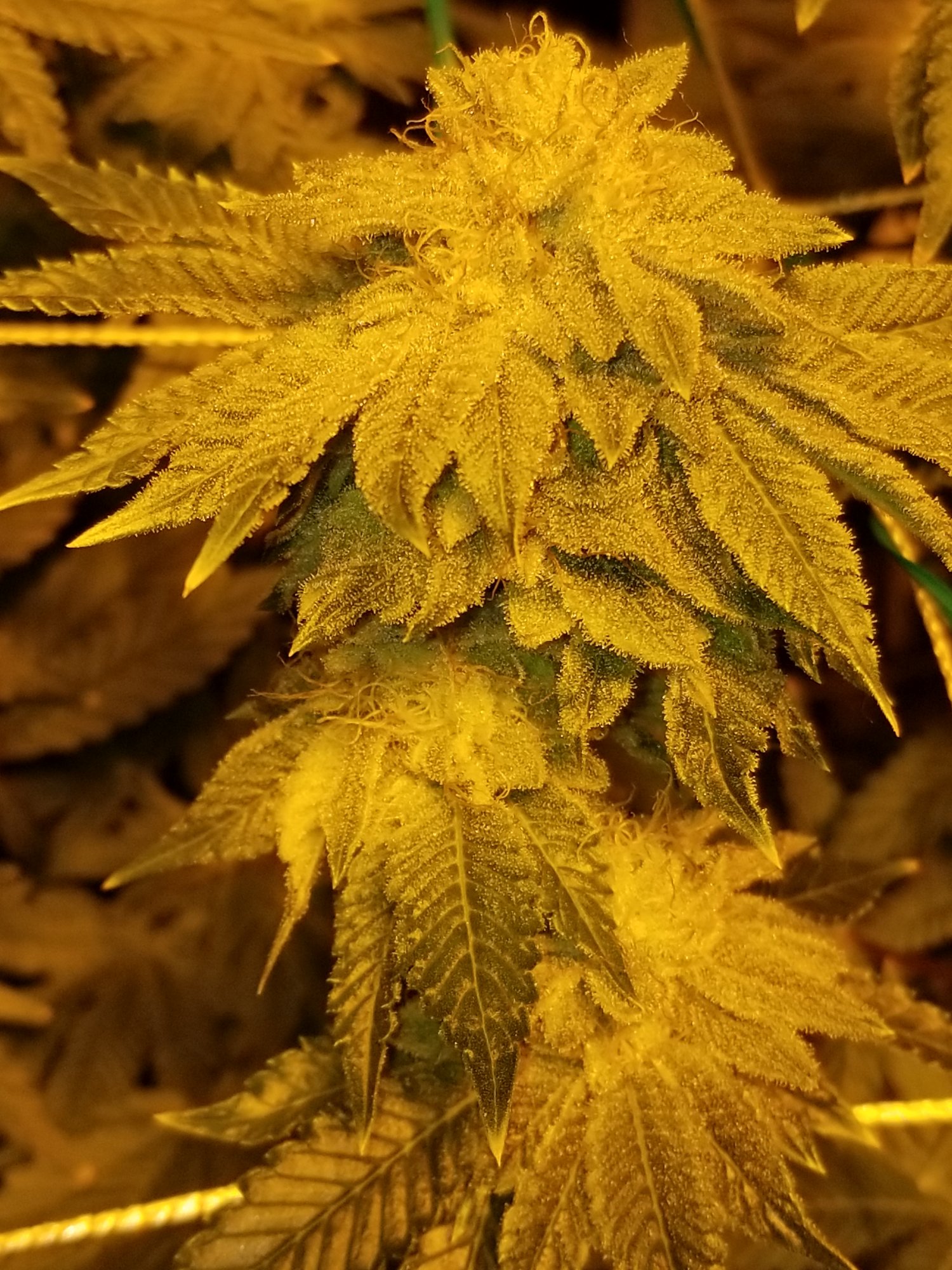 20210202 012034