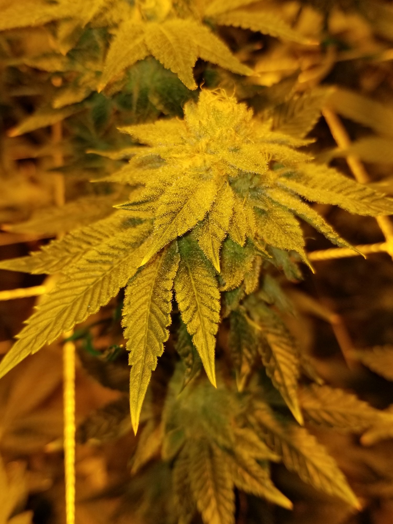 20210202 012328