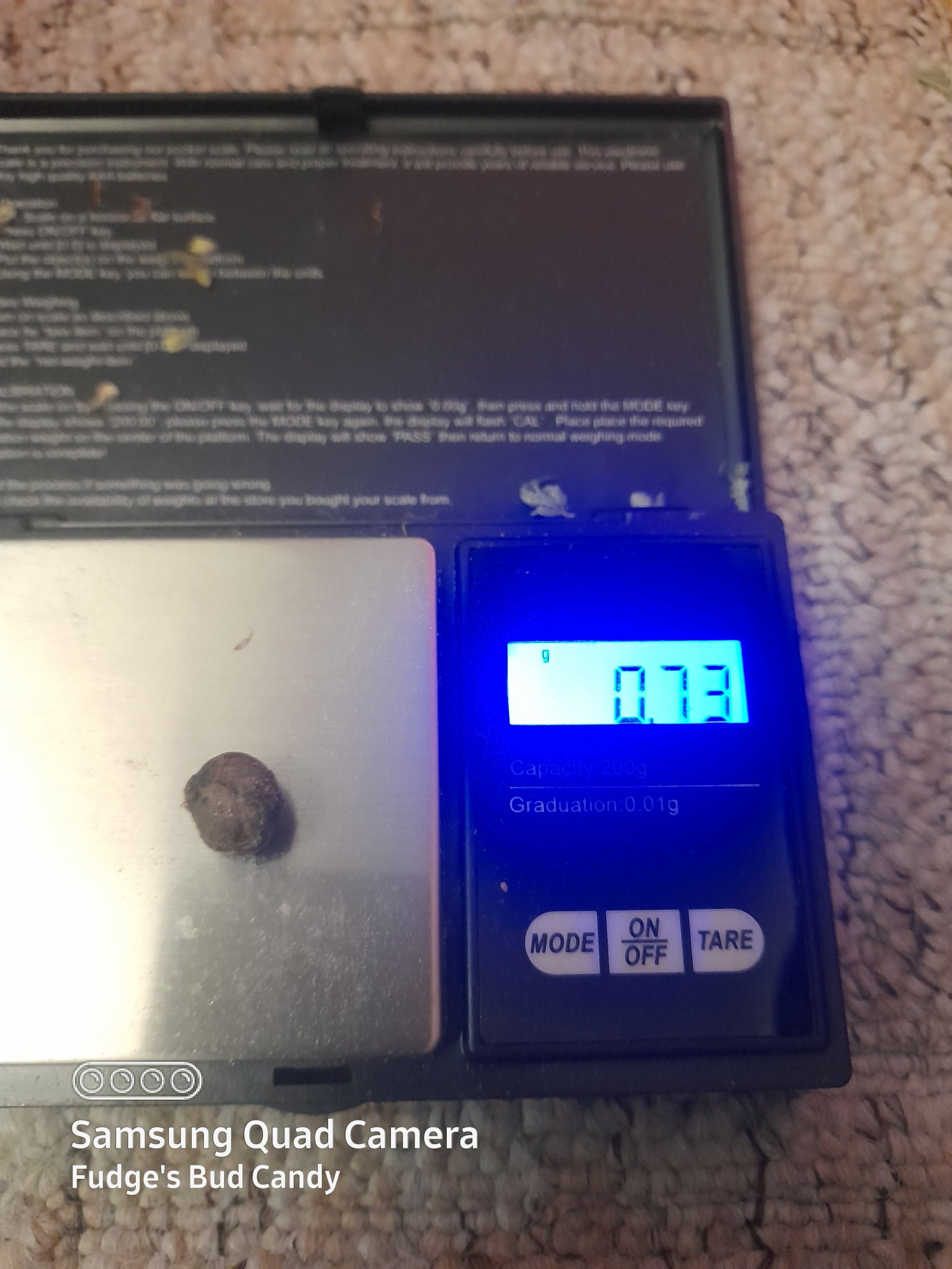 20210208 033729