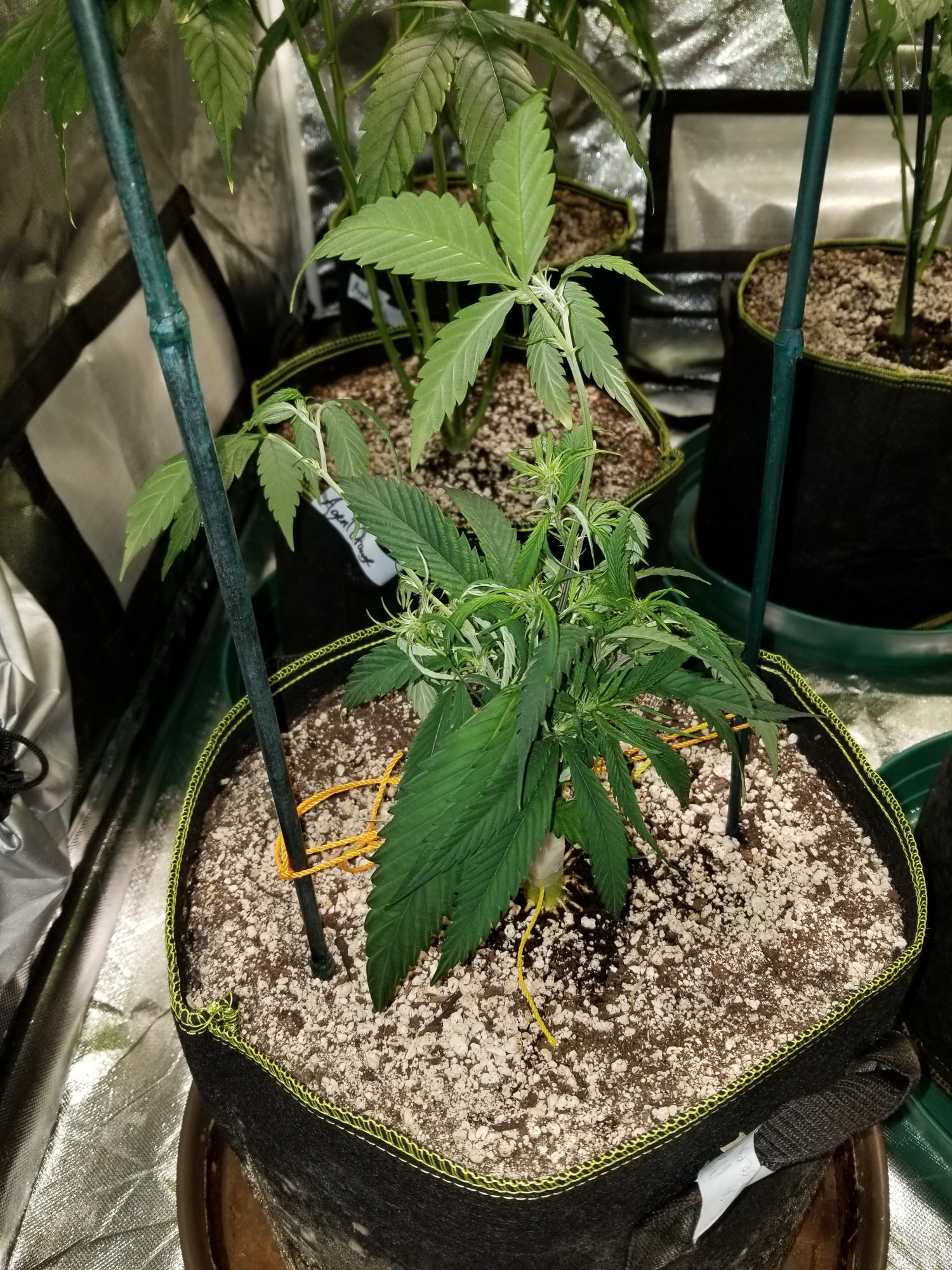 20210223 155207