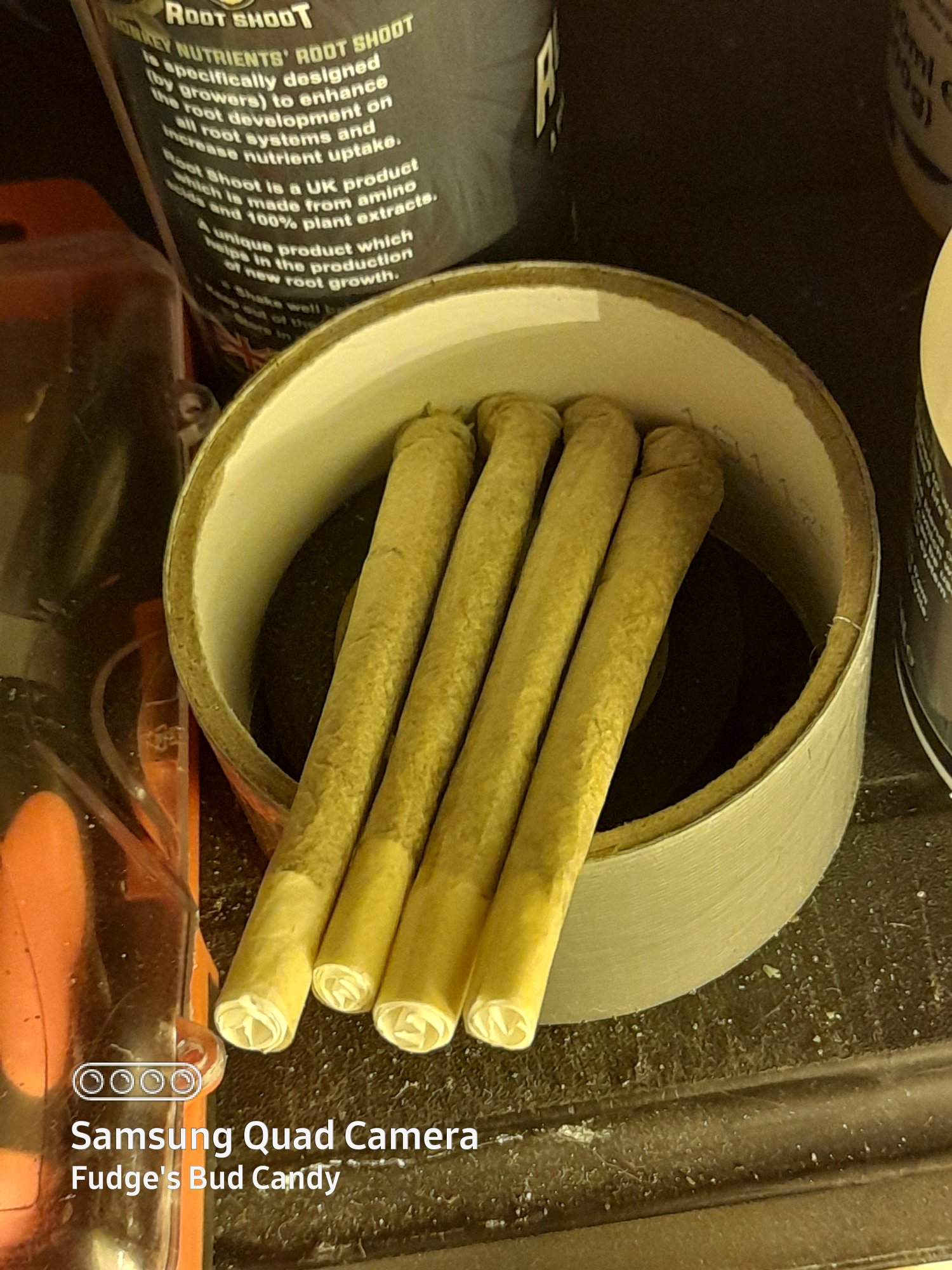 20210306 202349
