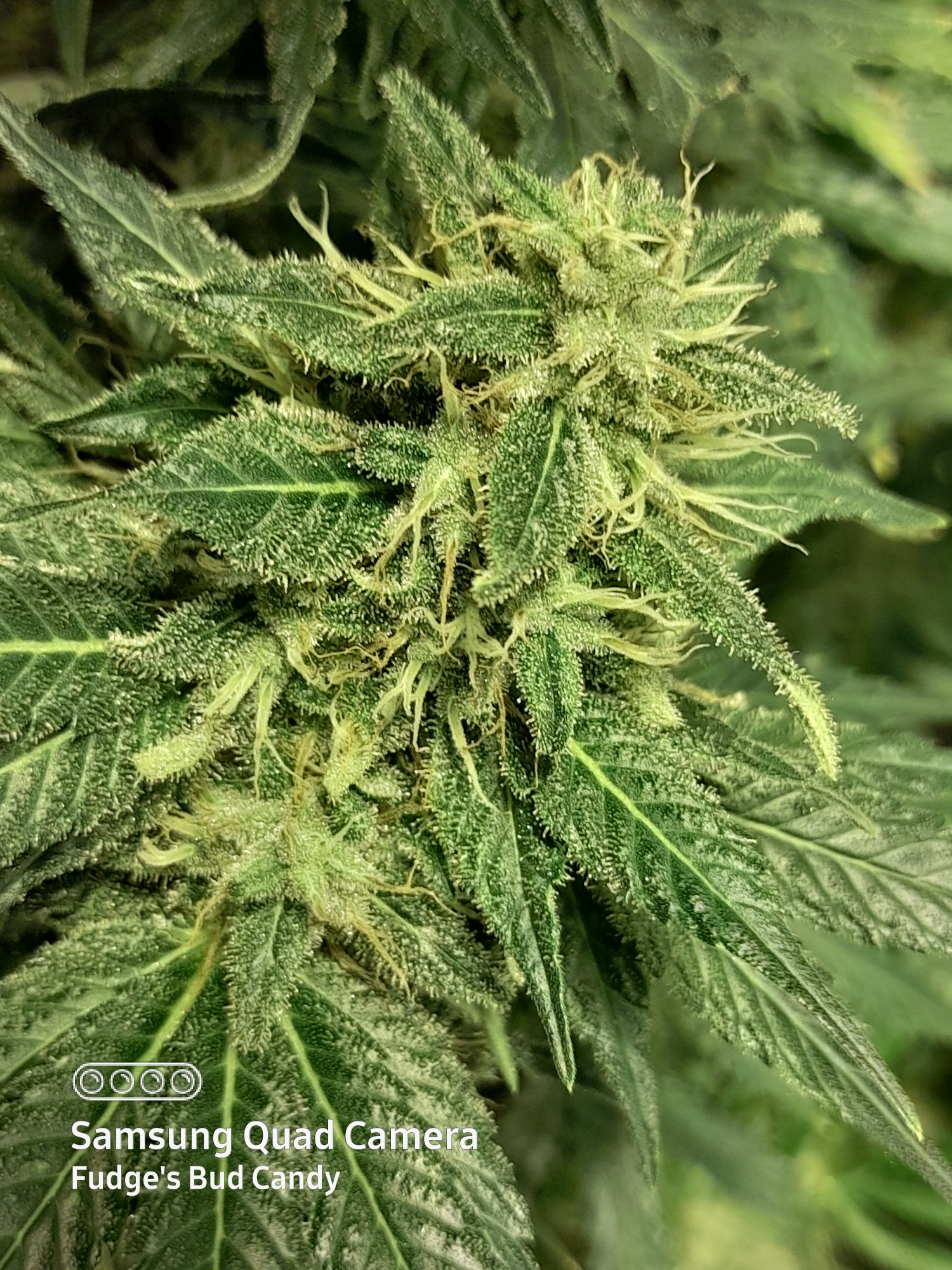 20210308 032035