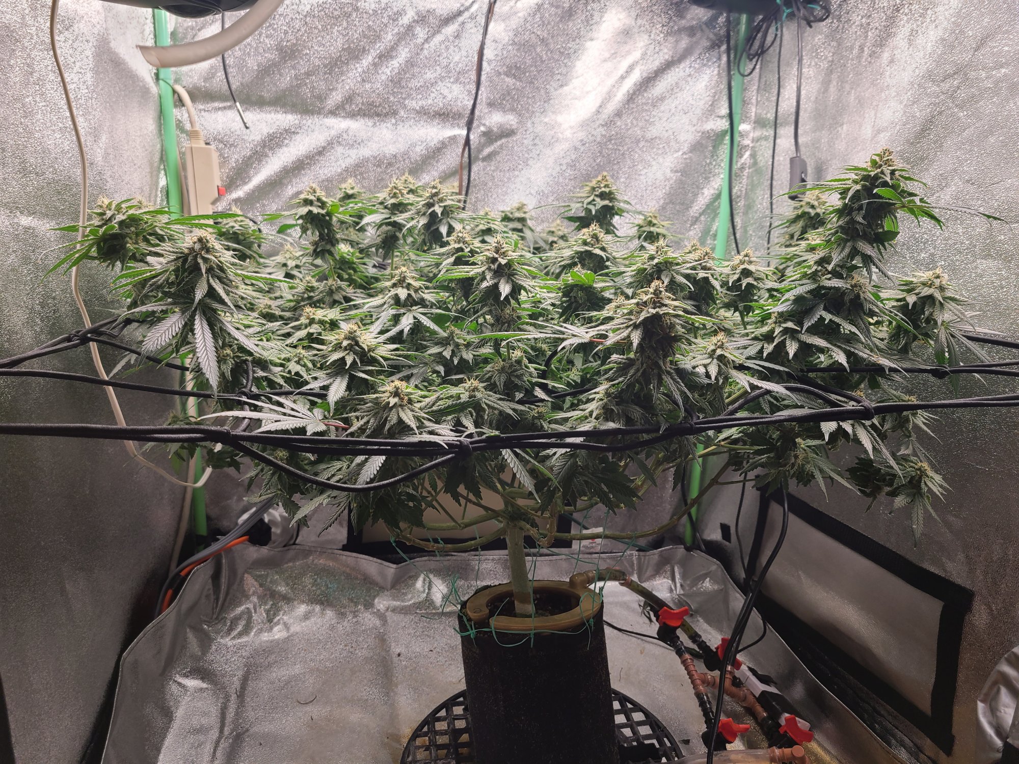 20210313 220004