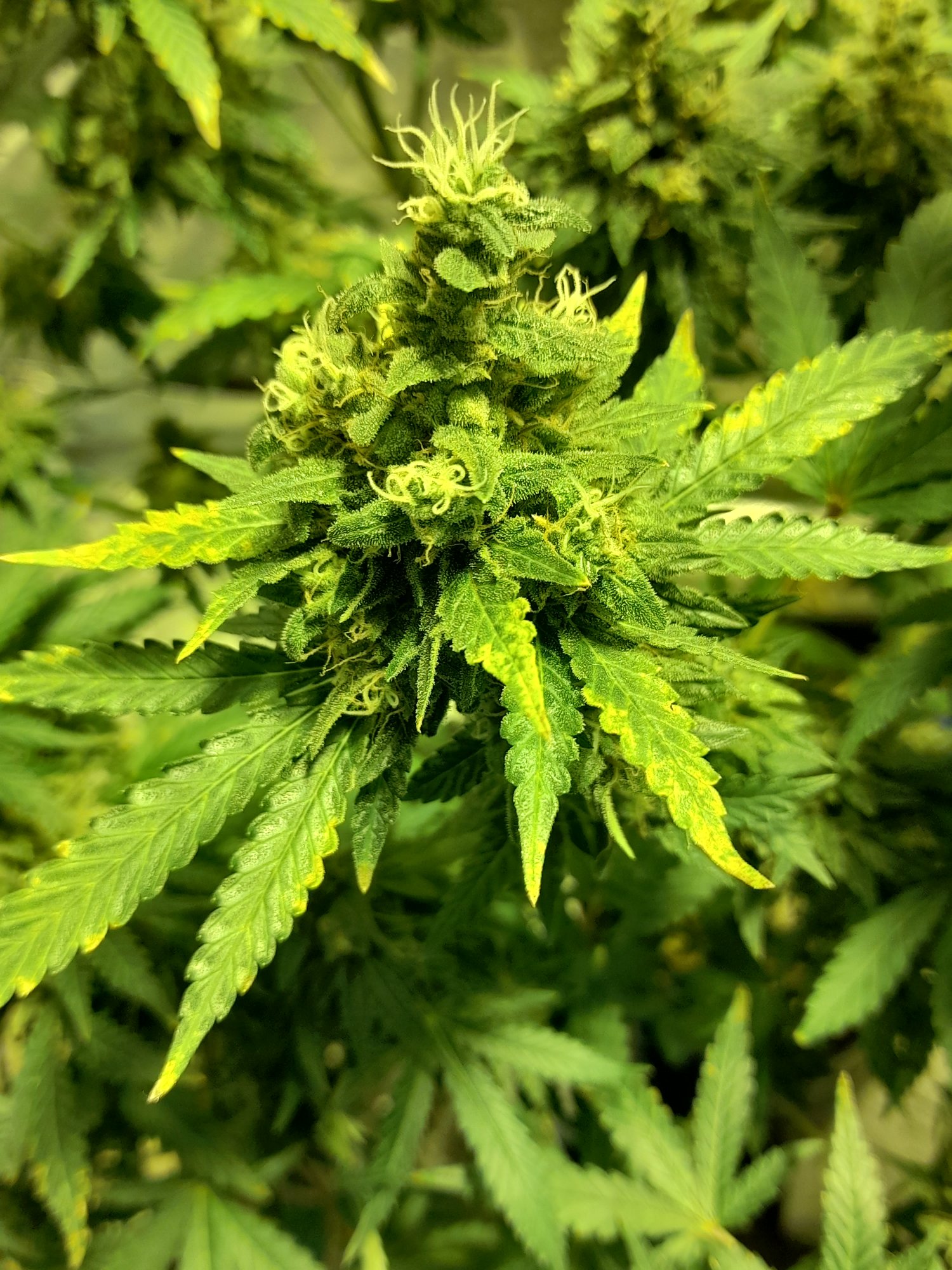 20210313 231727