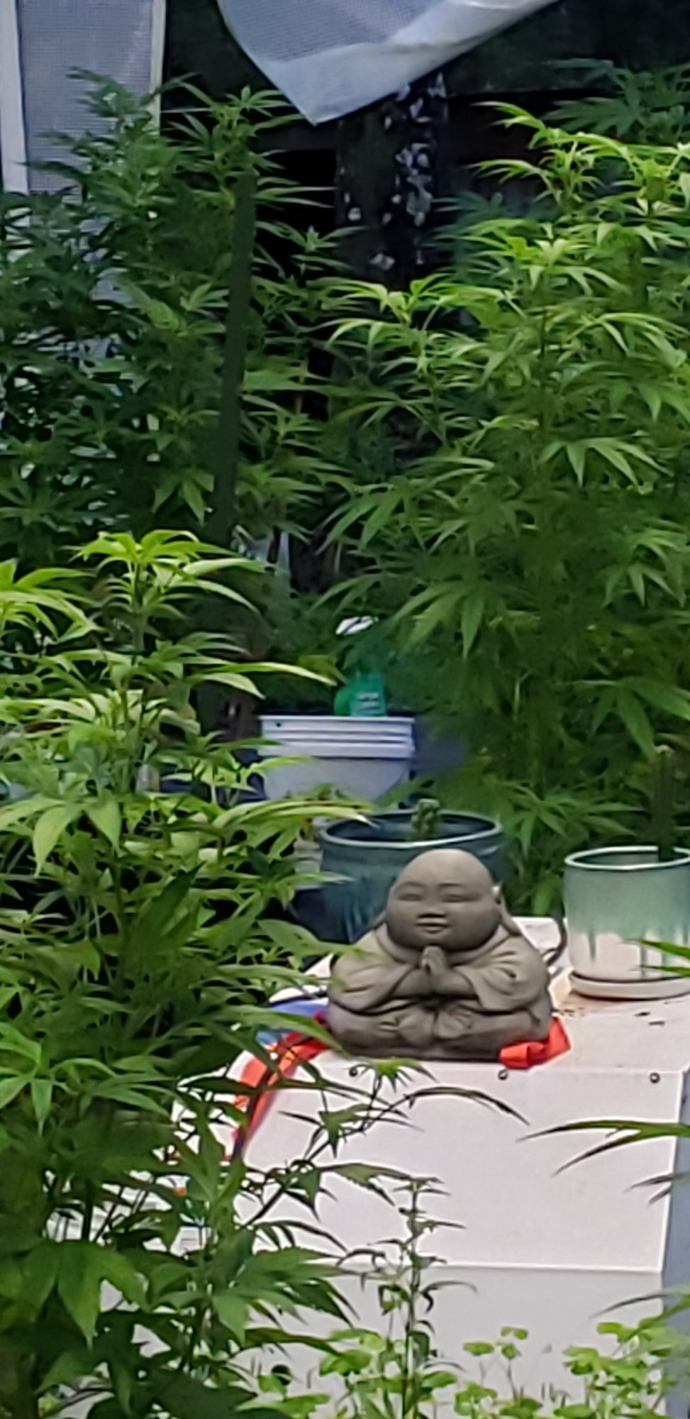 20210317 063640