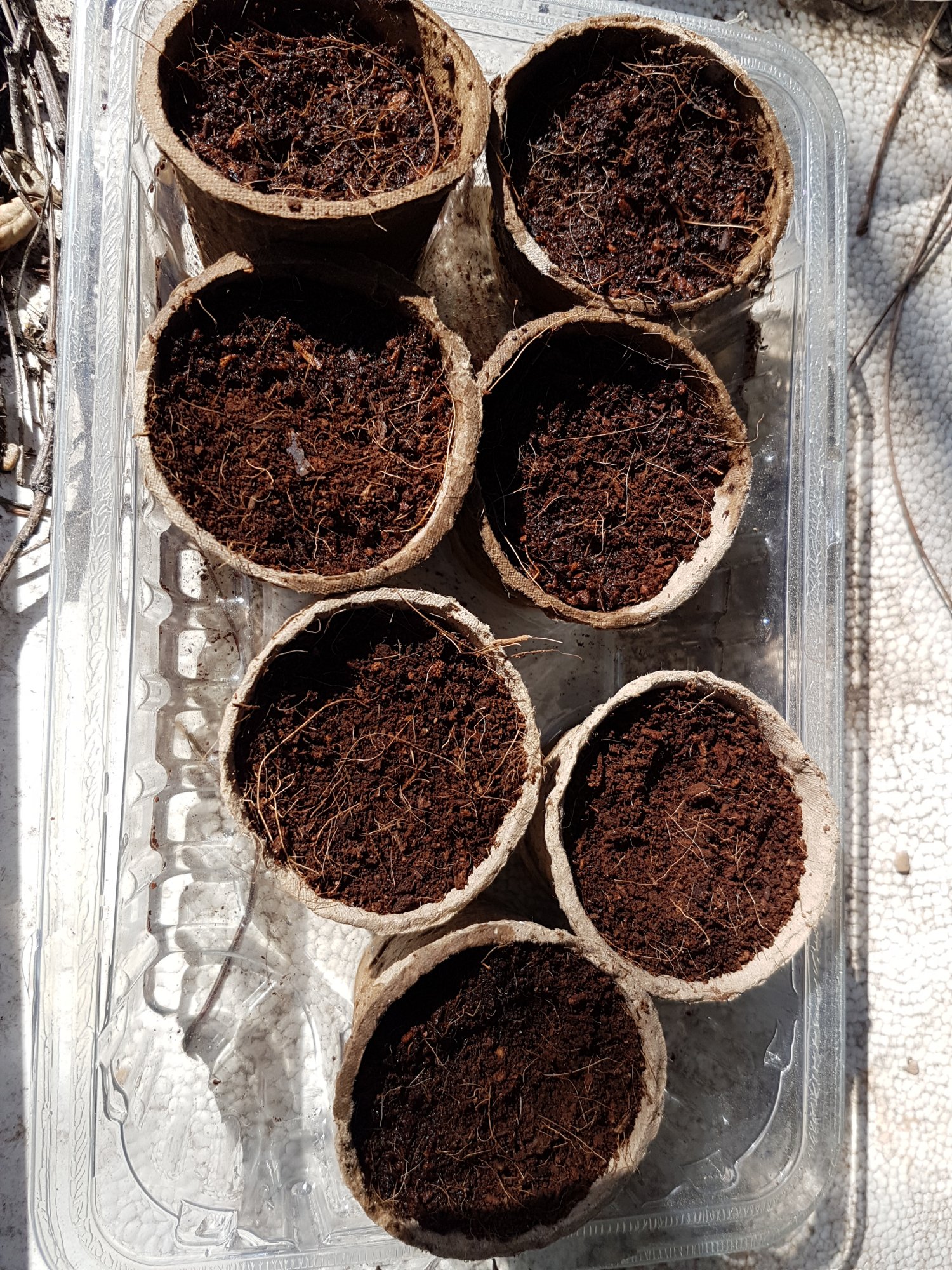 20210326 161533