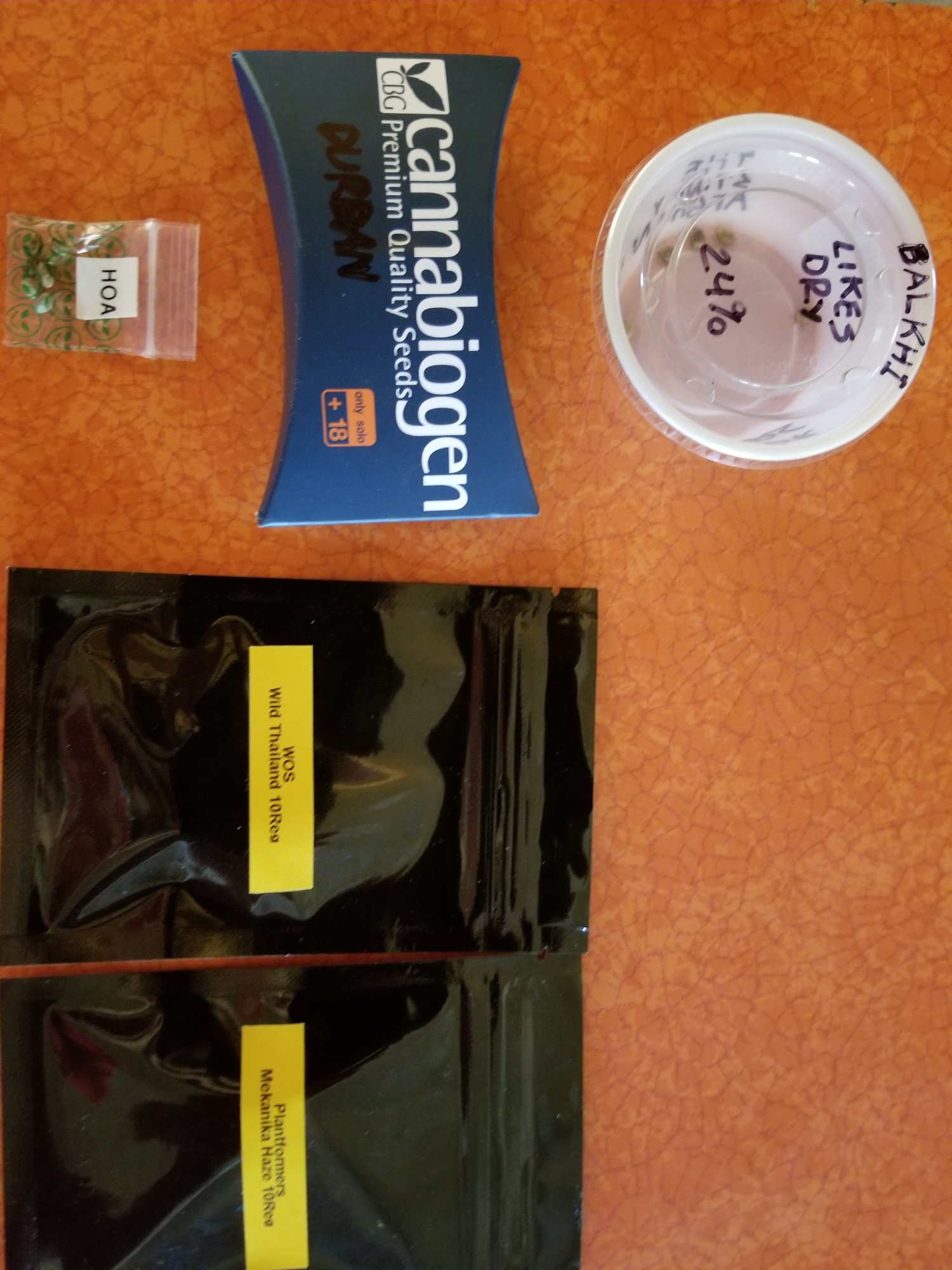 20210402 132830