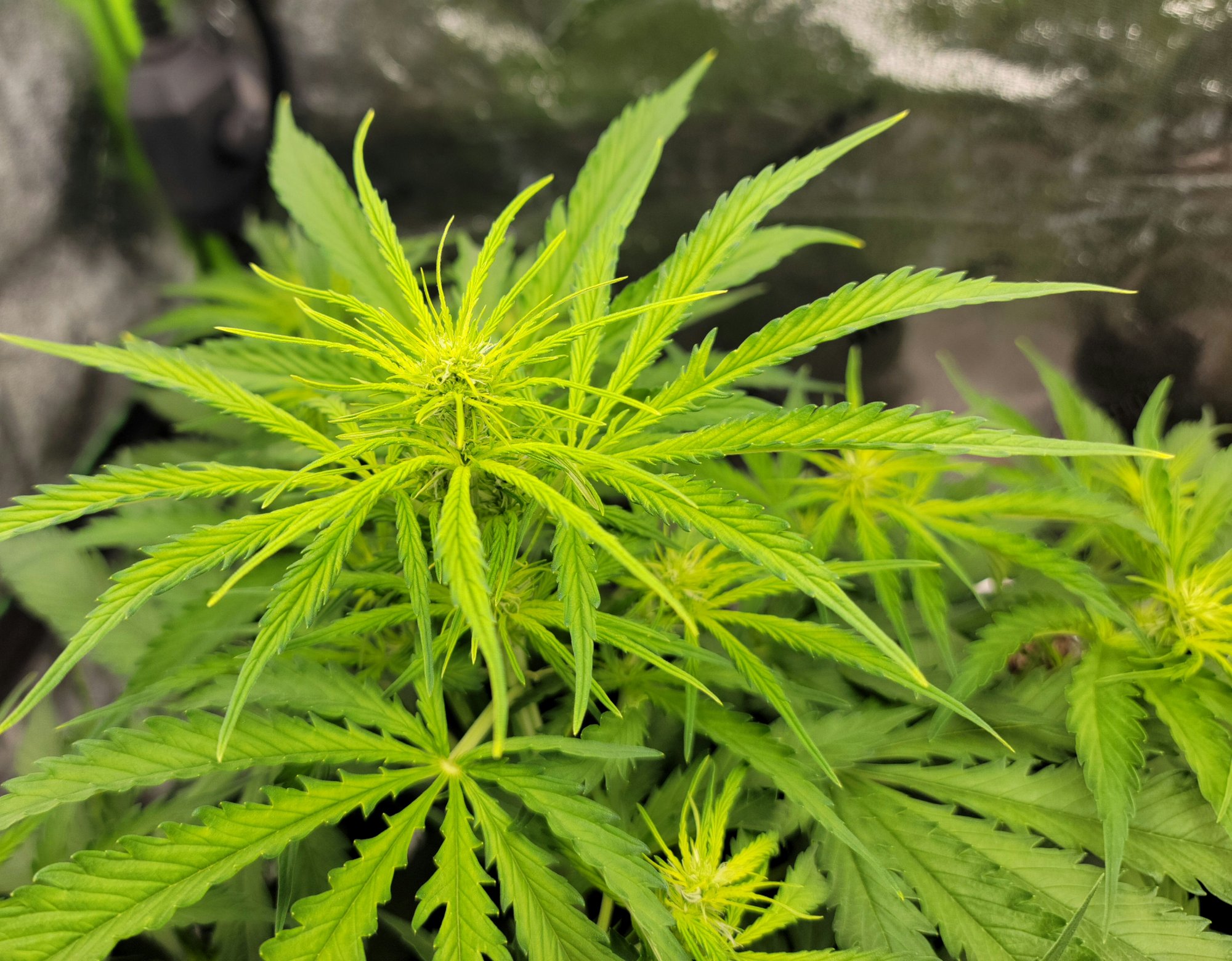 20210409 203910