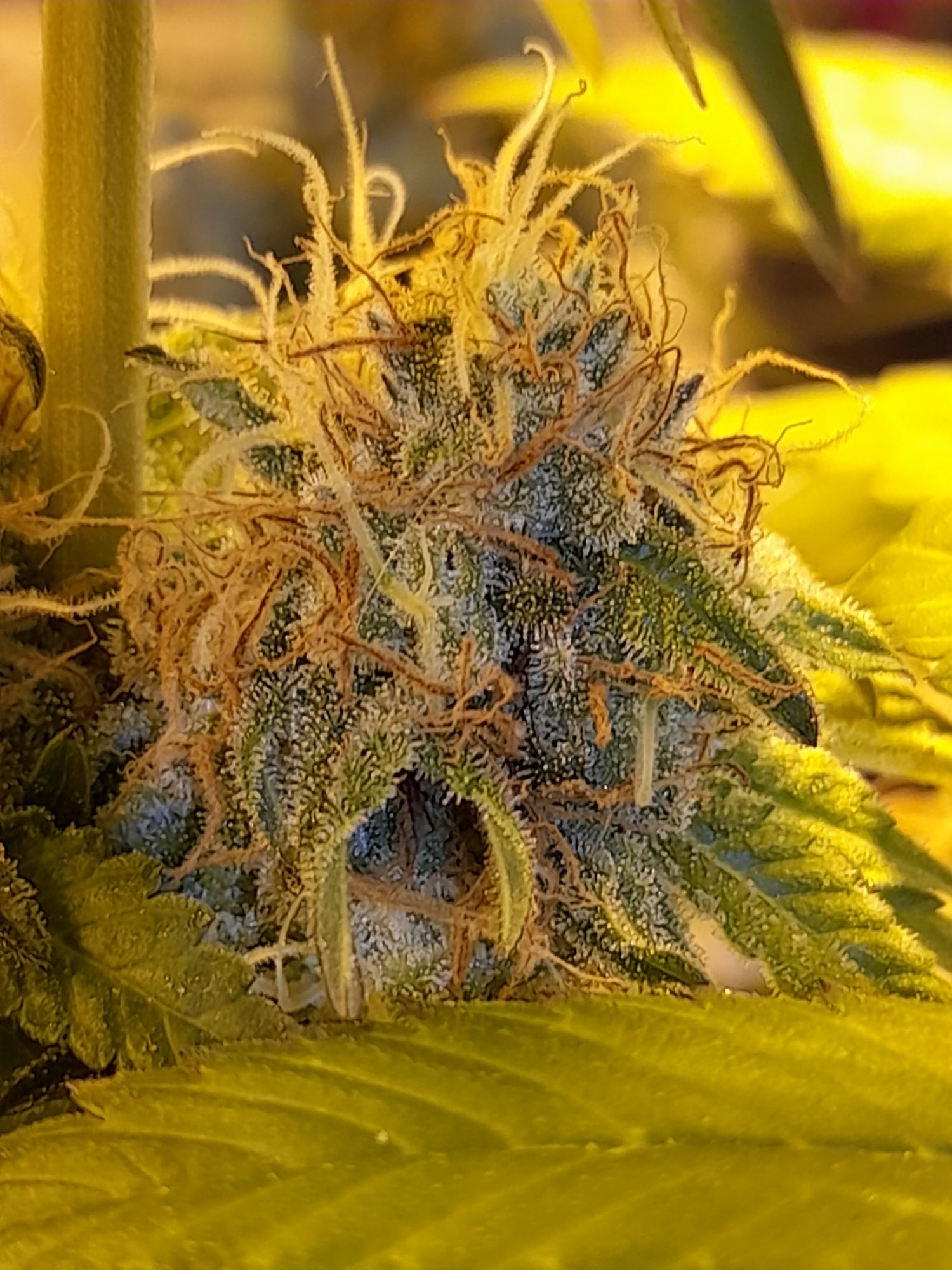 20210417 224041