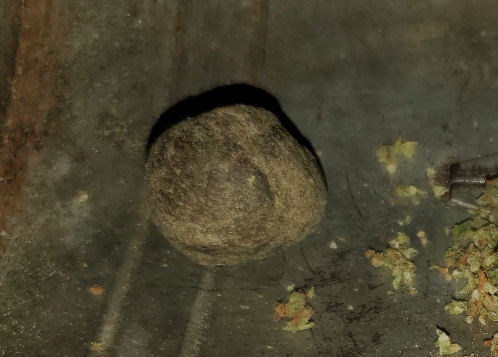 20210424 210049