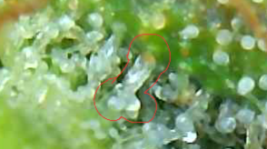 20210425 234756