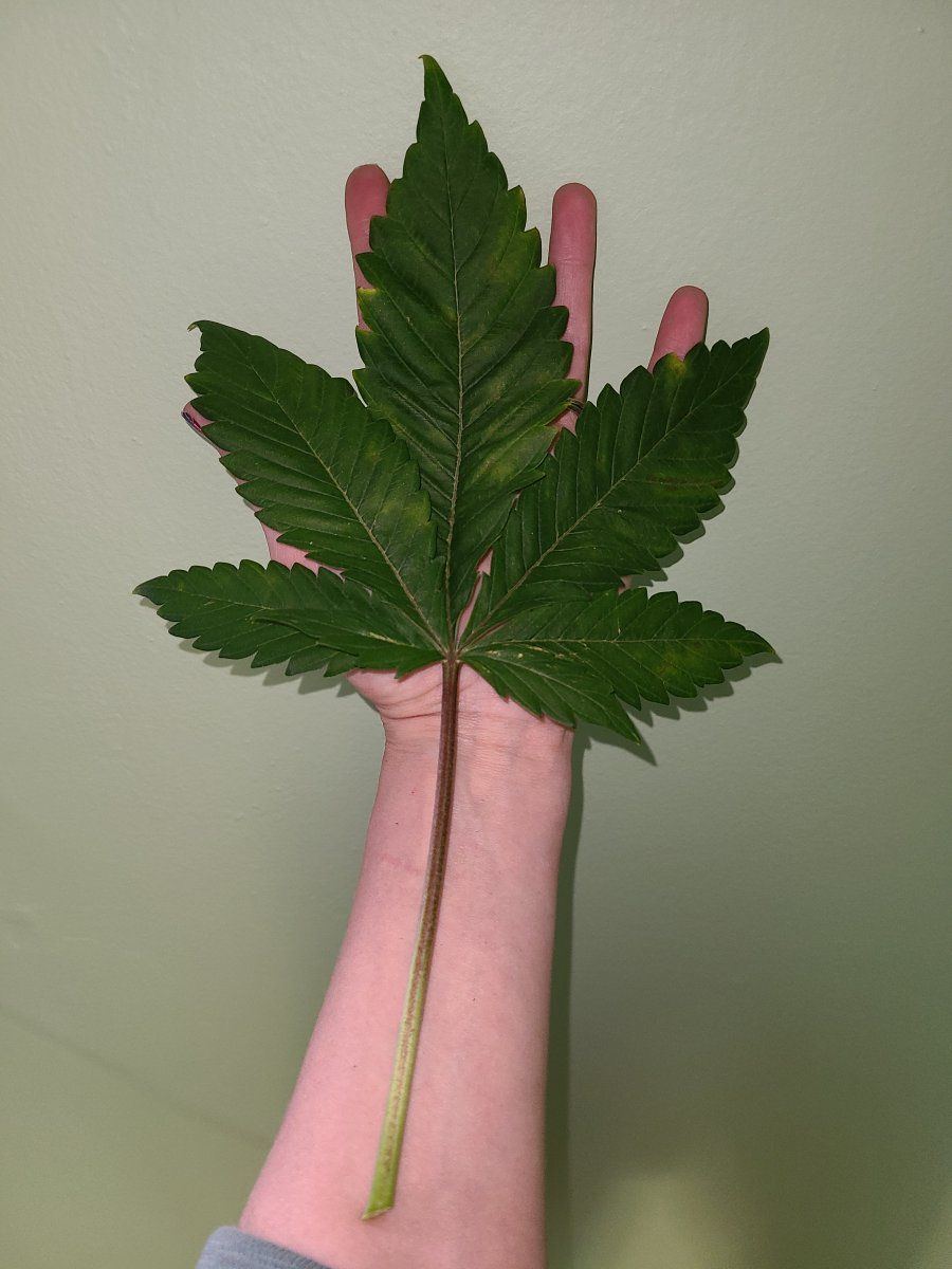 20210428 135539