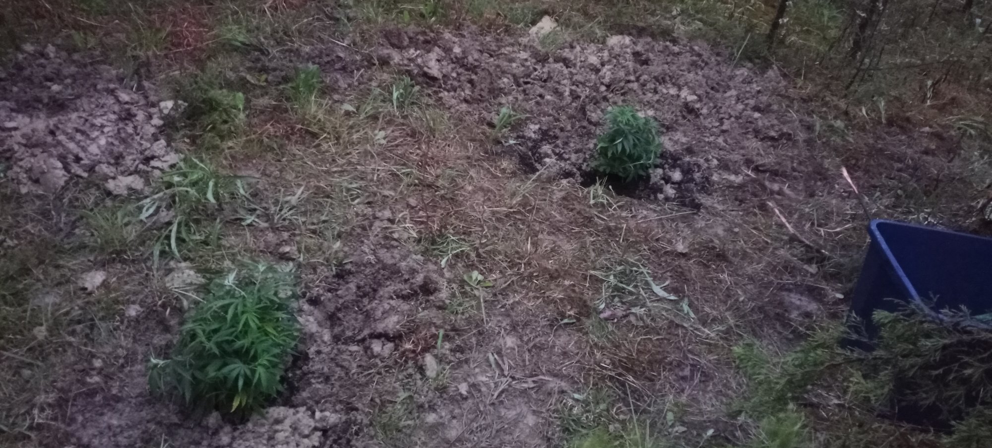 20210503 203855