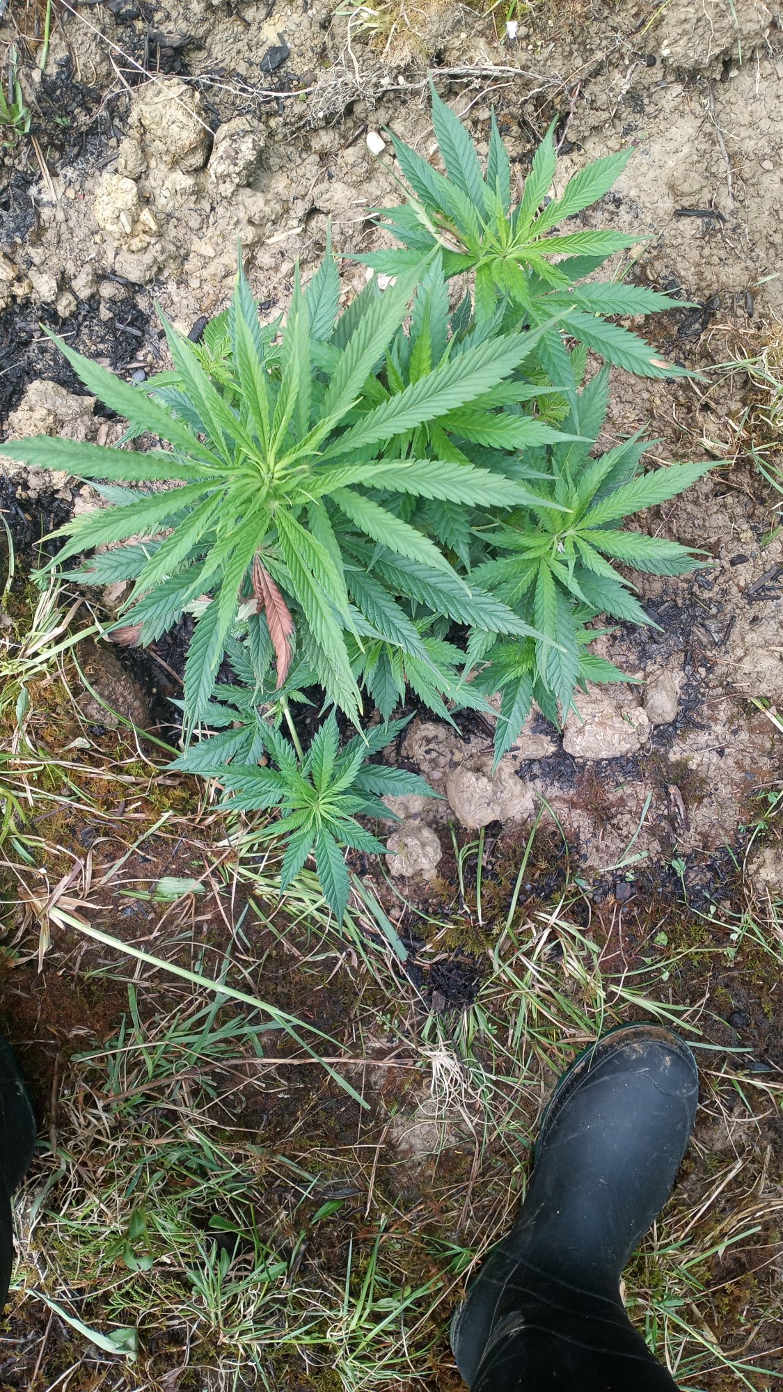 20210506 170550