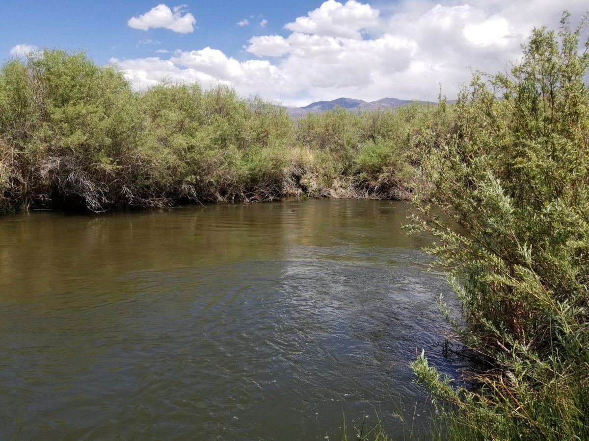 20210515 131455