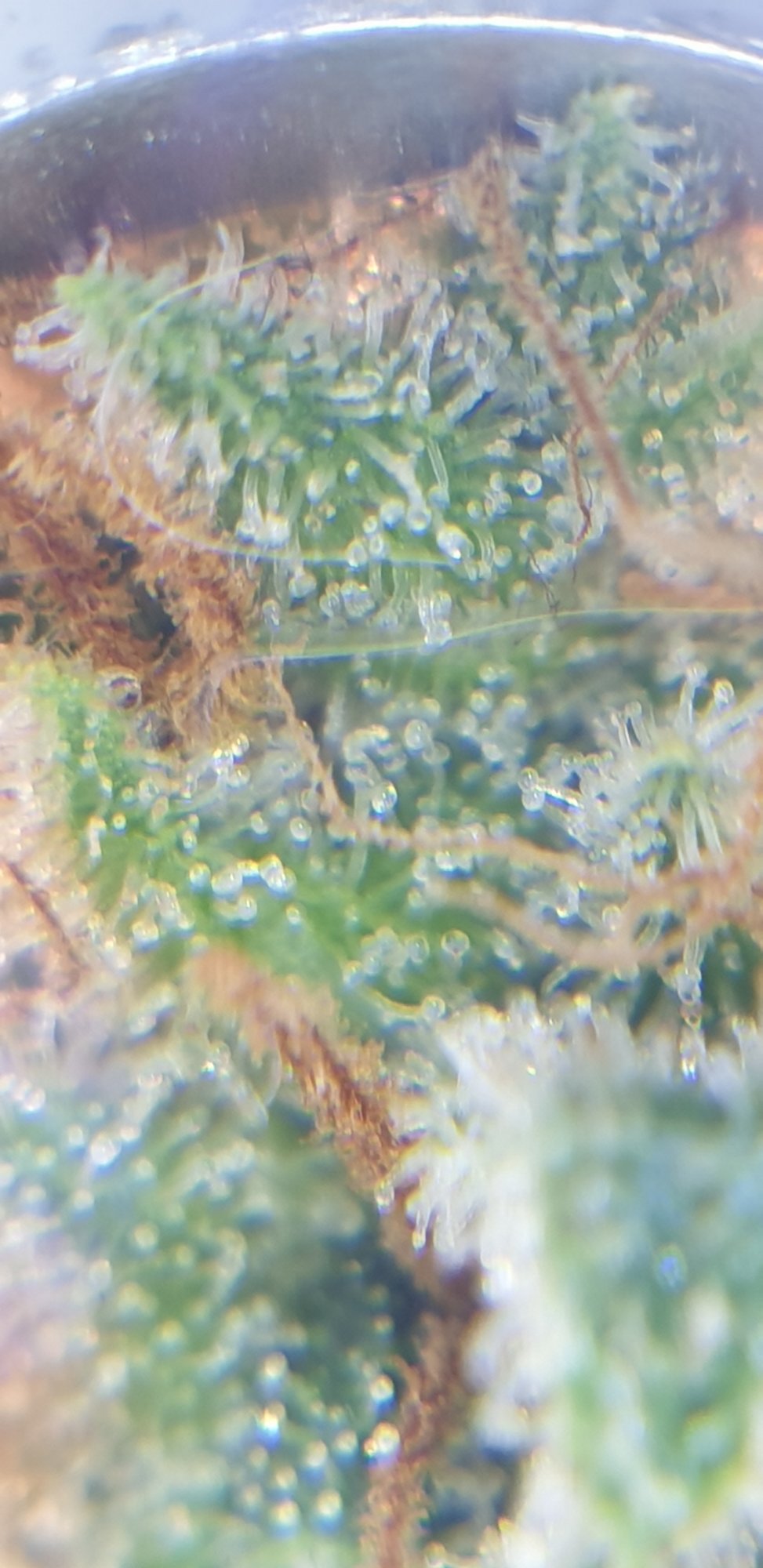 20210608 190422