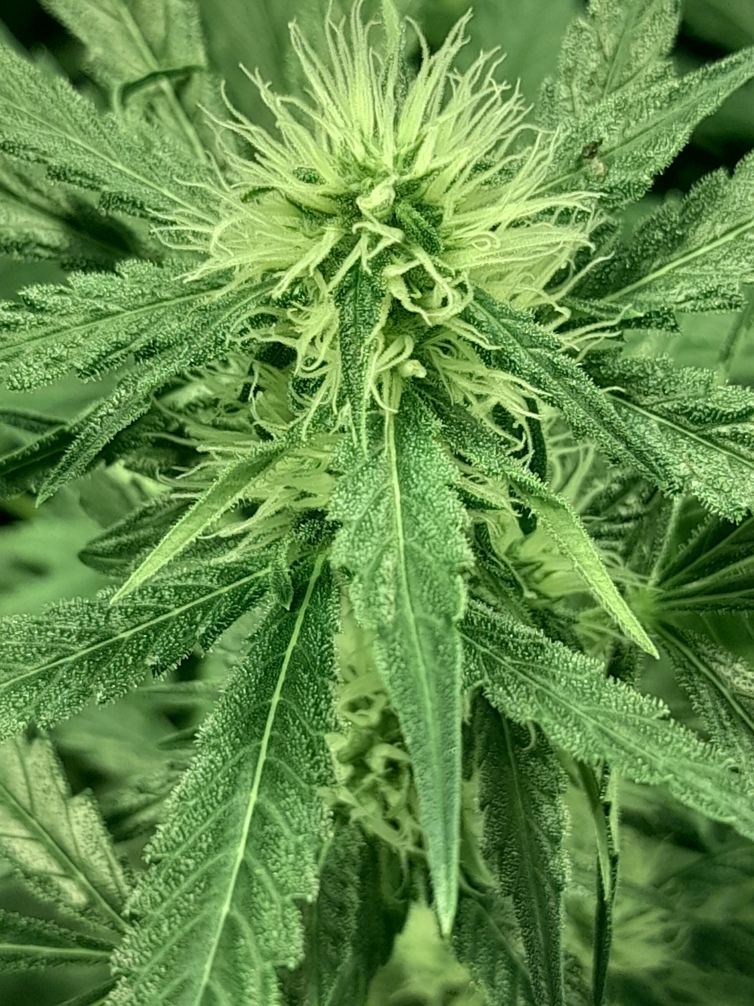 20210614 003301