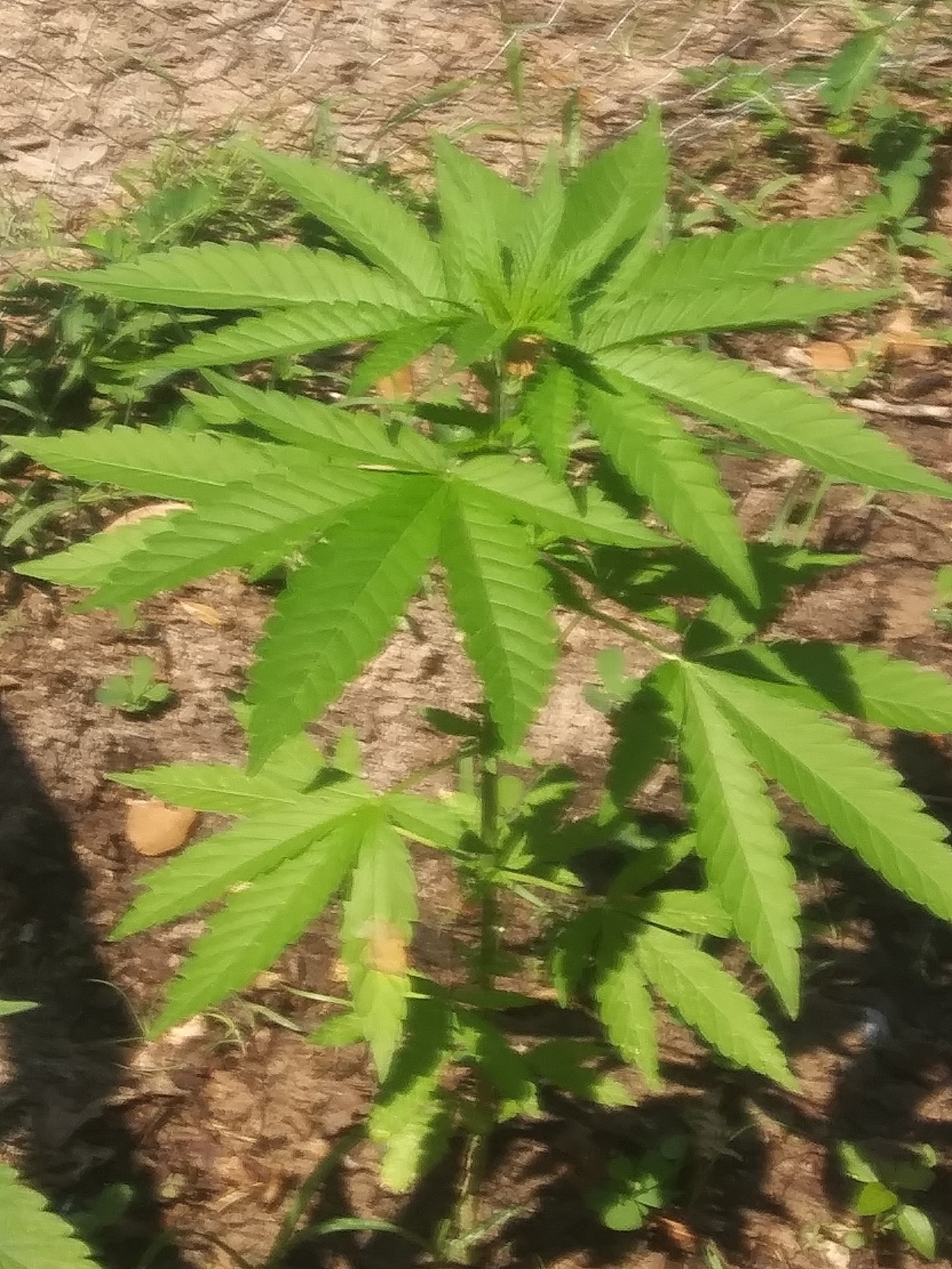 20210619 161450