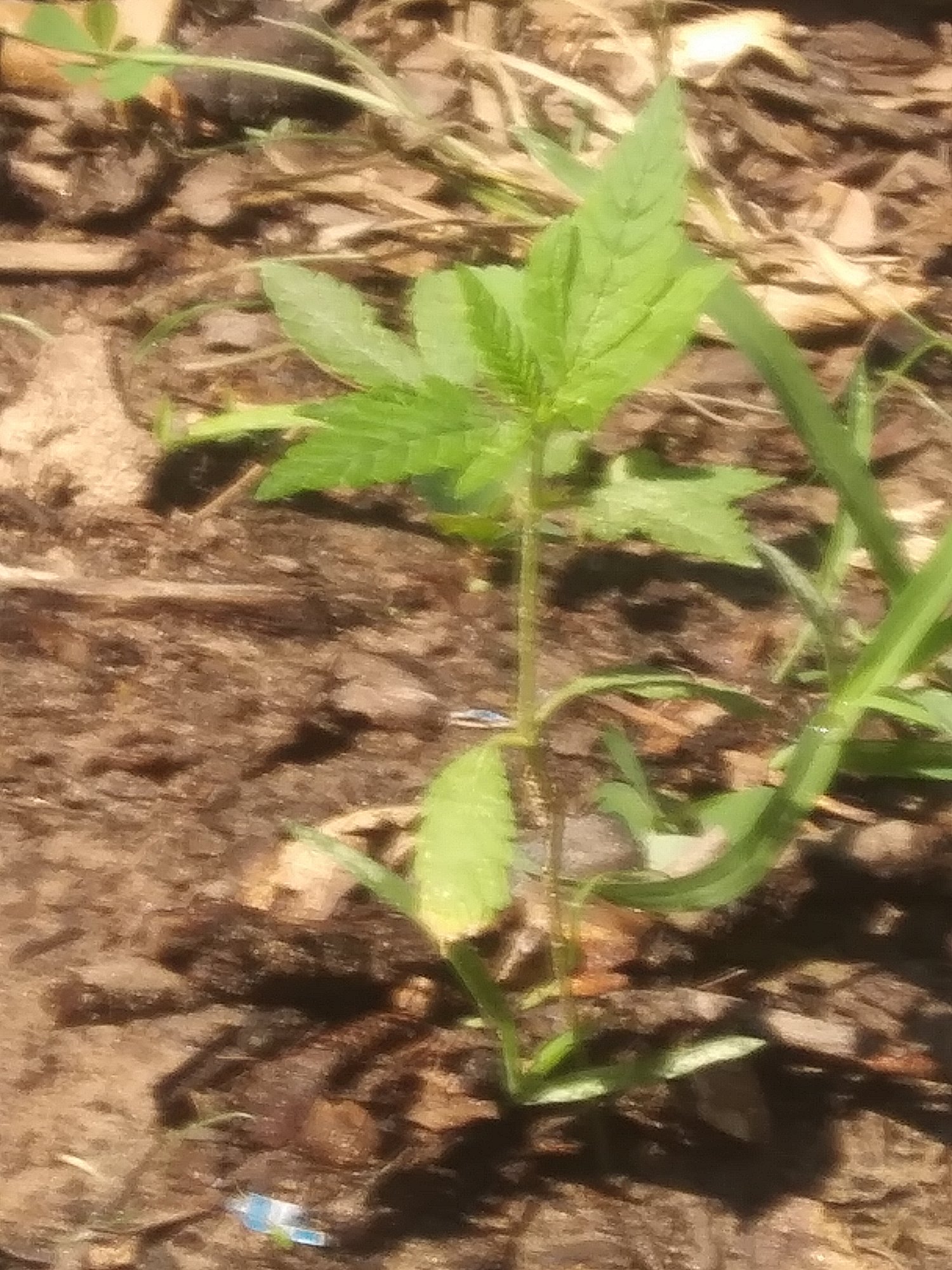 20210619 161625