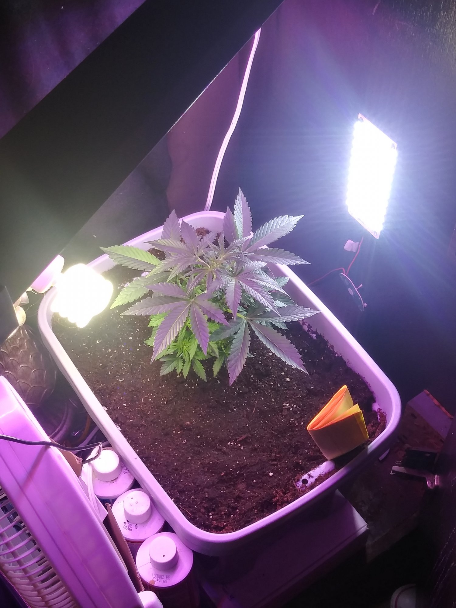 20210709 220222 HDR