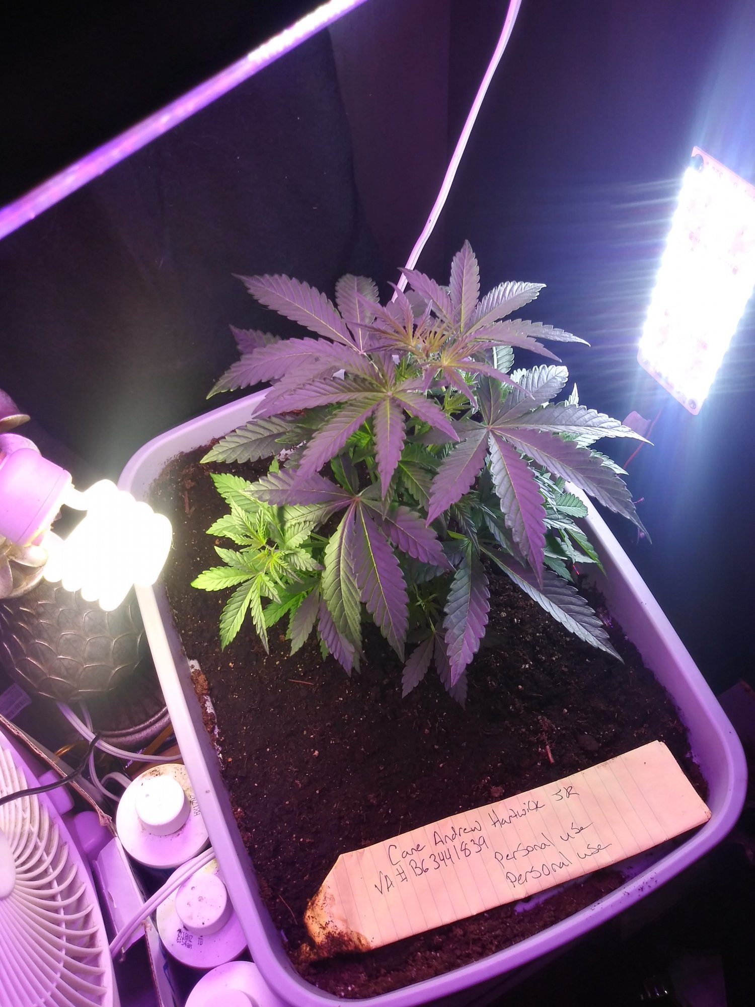 20210711 191817 HDR