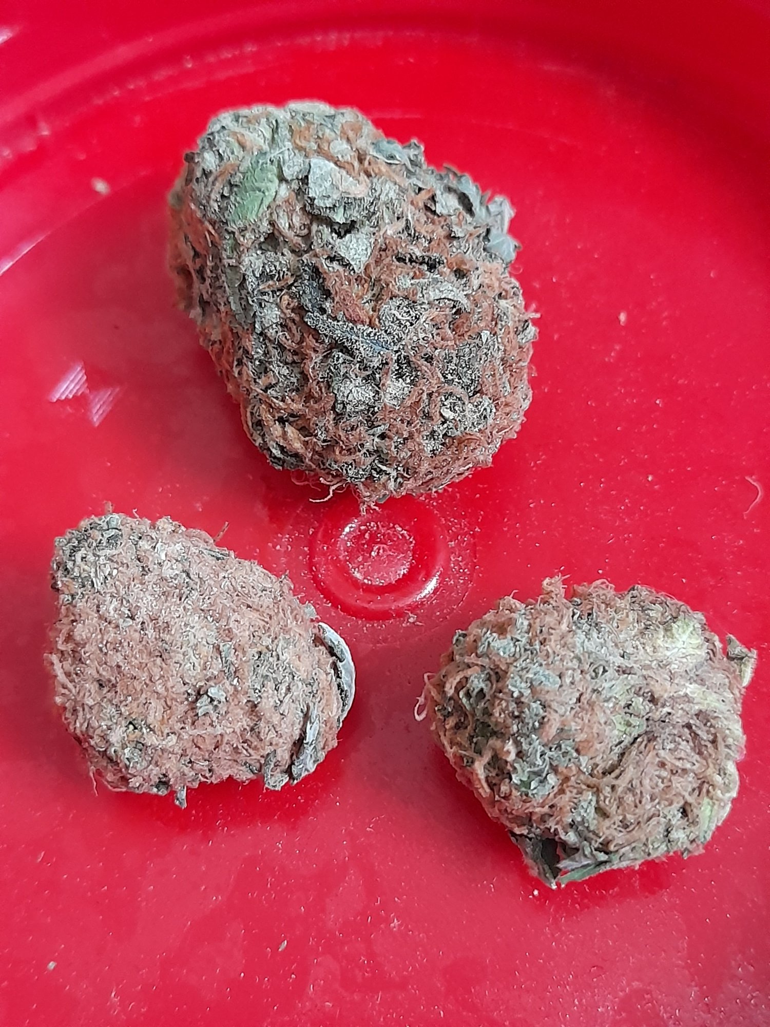 20210717 113309