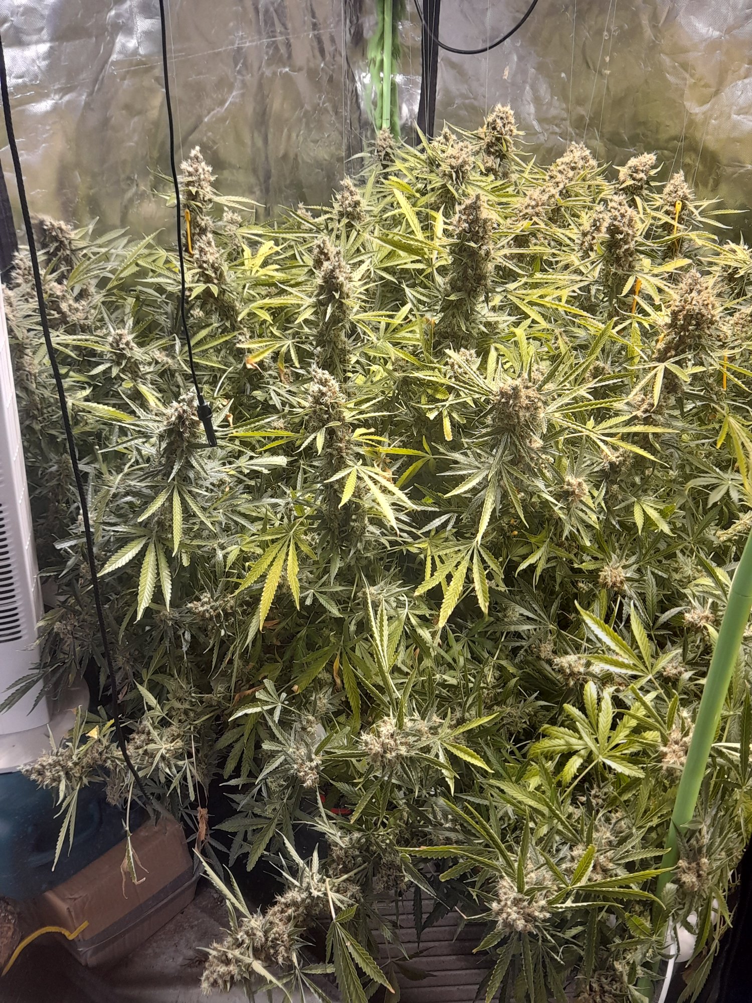 20210729 024946