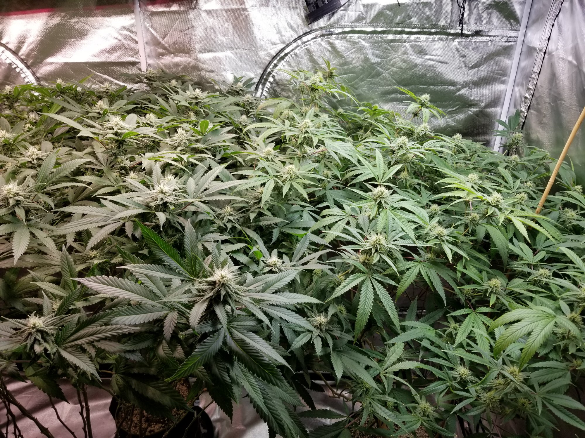 20210811 141516