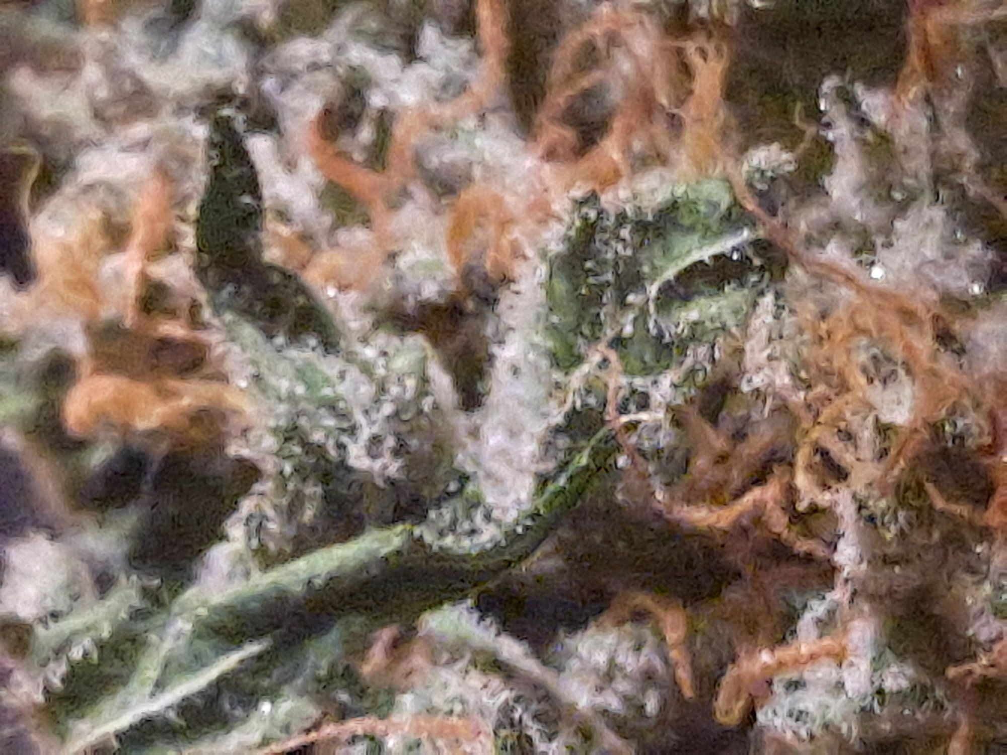 20210825 010835