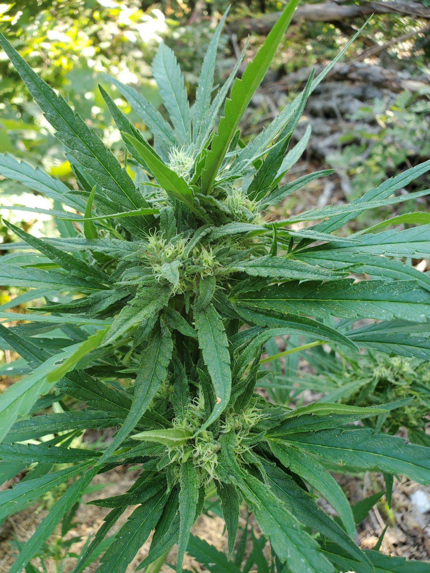20210827 165206