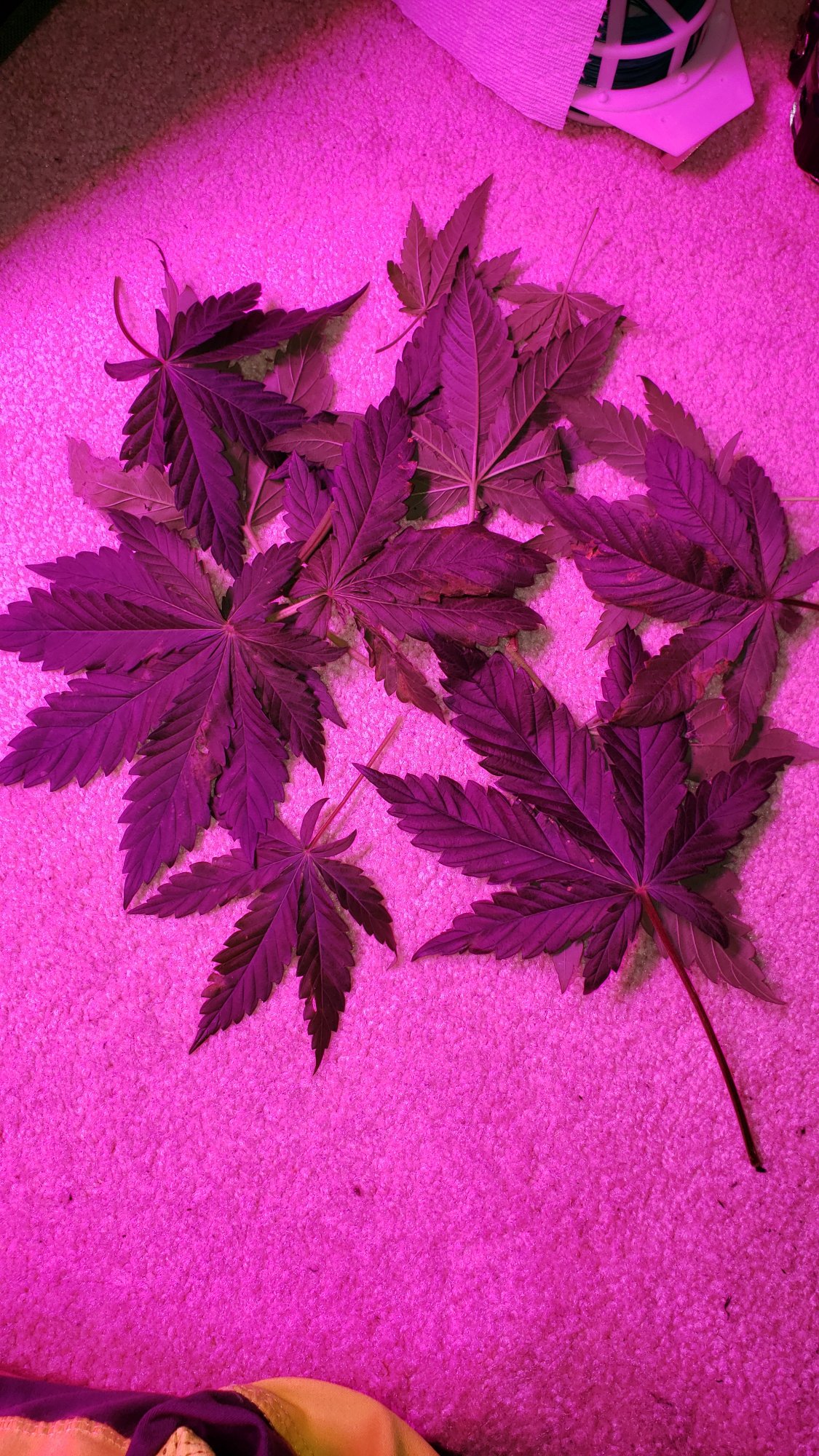 20210828 094500
