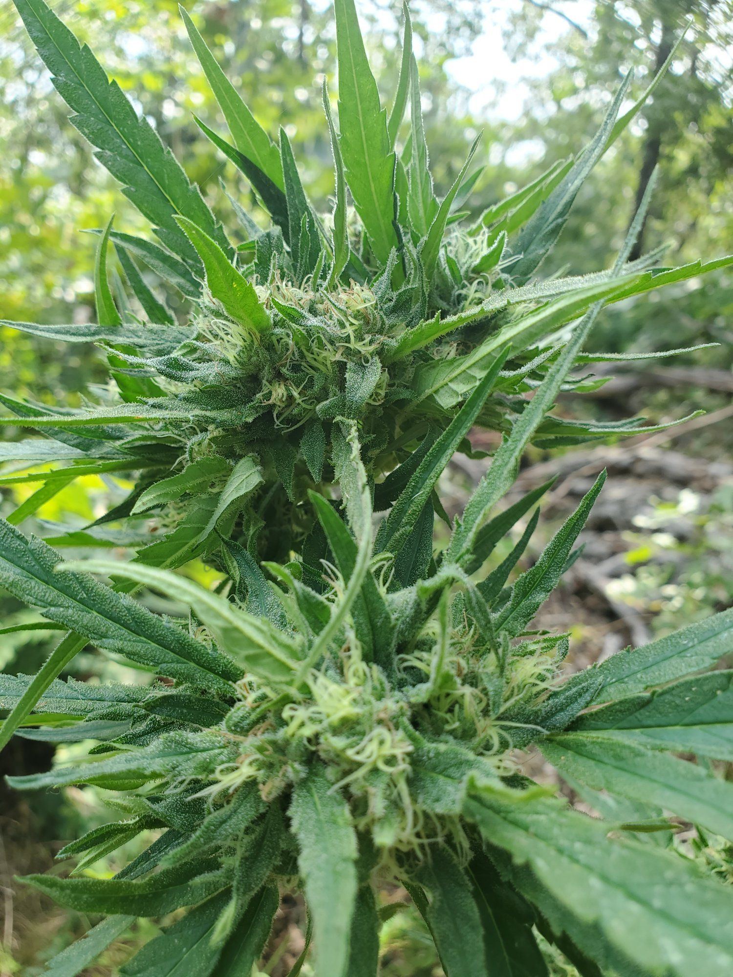 20210904 154007