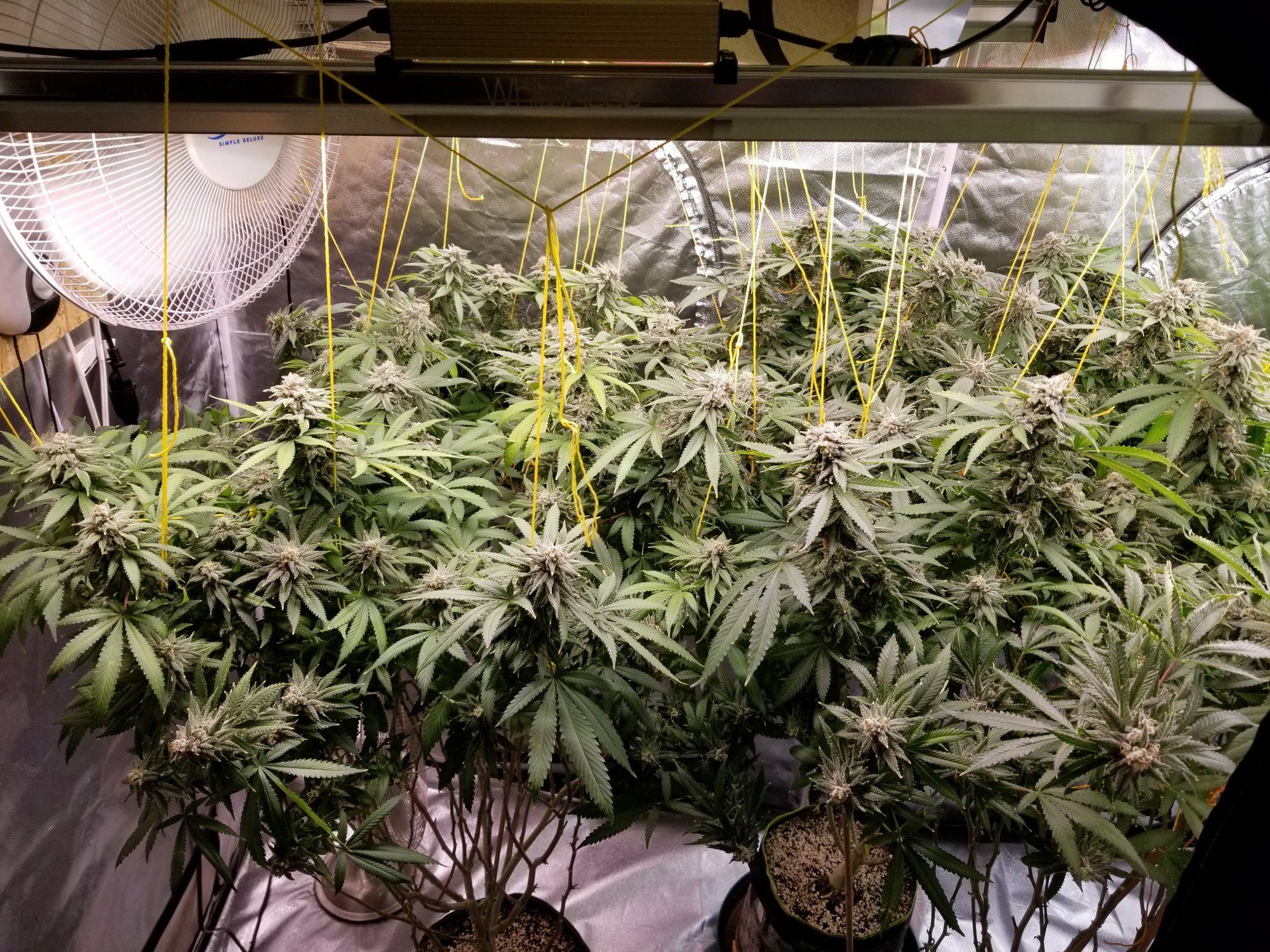 20210908 124042