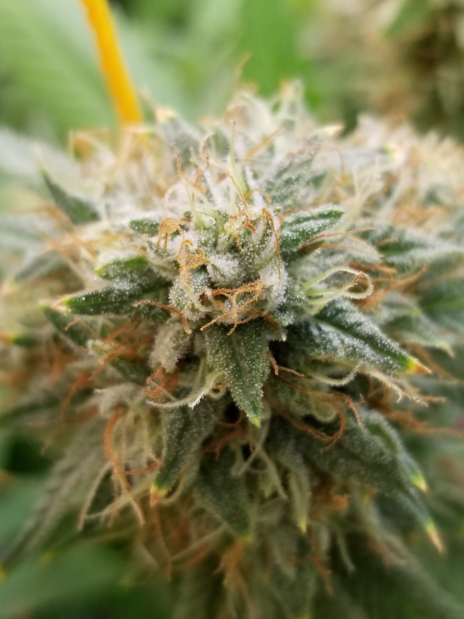 20210908 124712