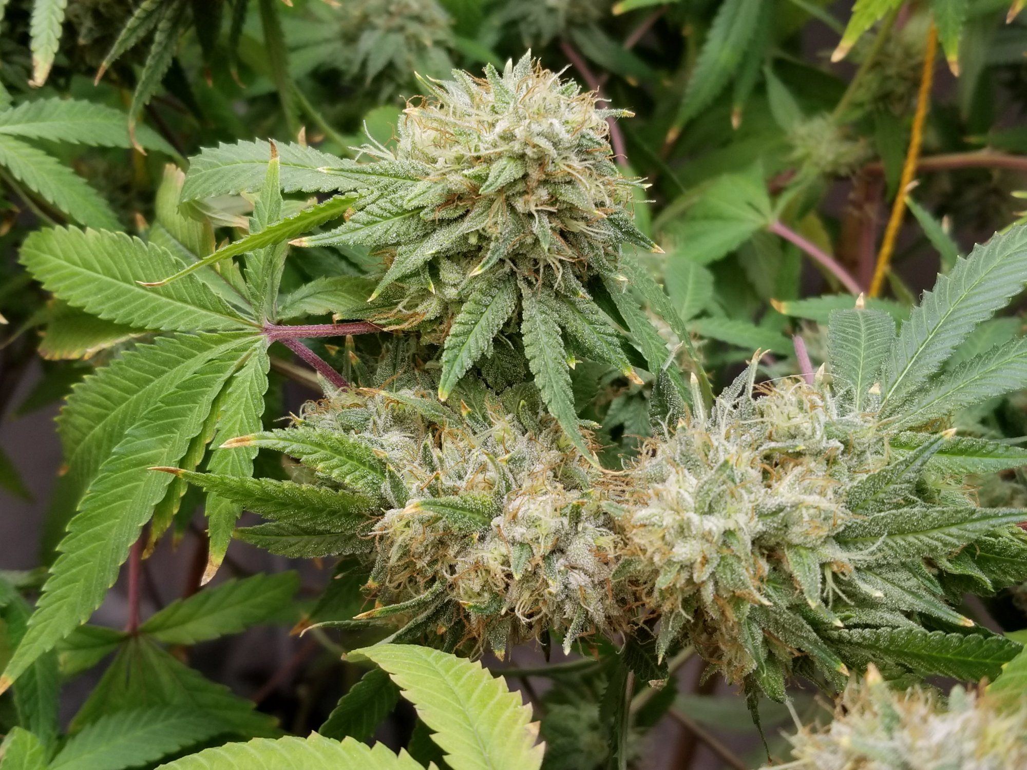 20210908 130403