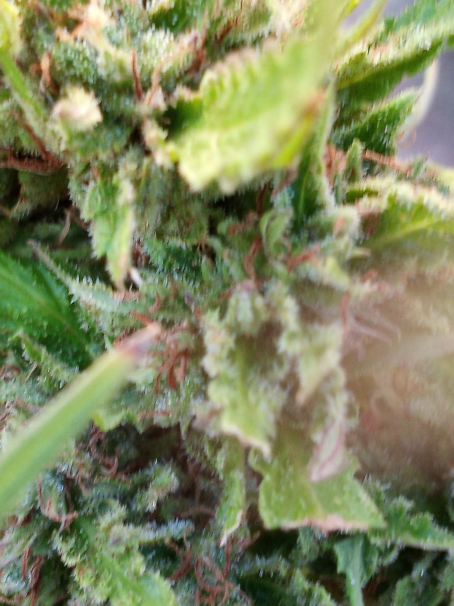 20210913 174414