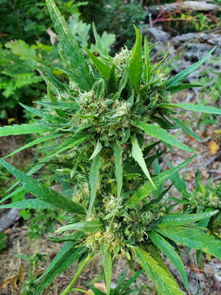 20210916 080118