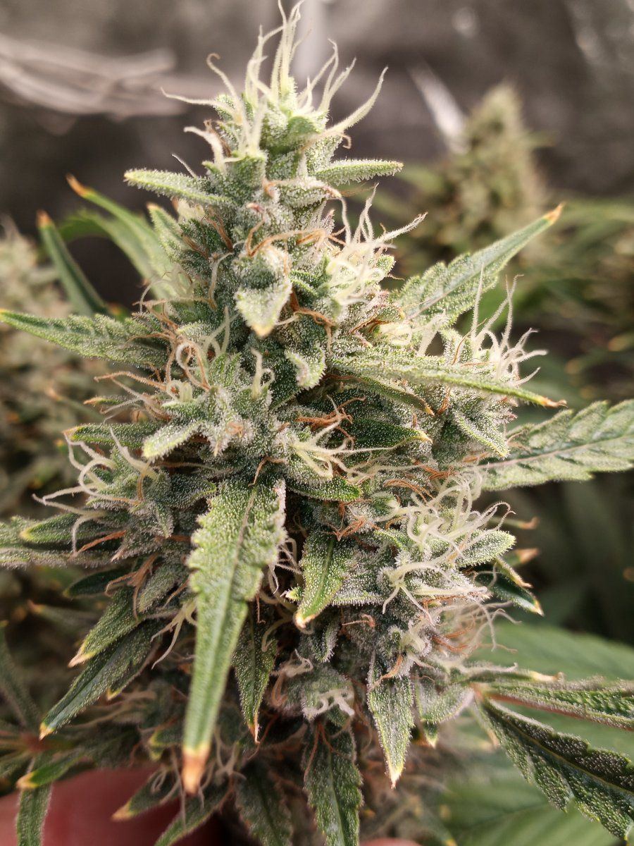 20211002 221135
