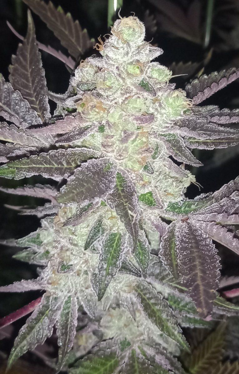 20211020 184901