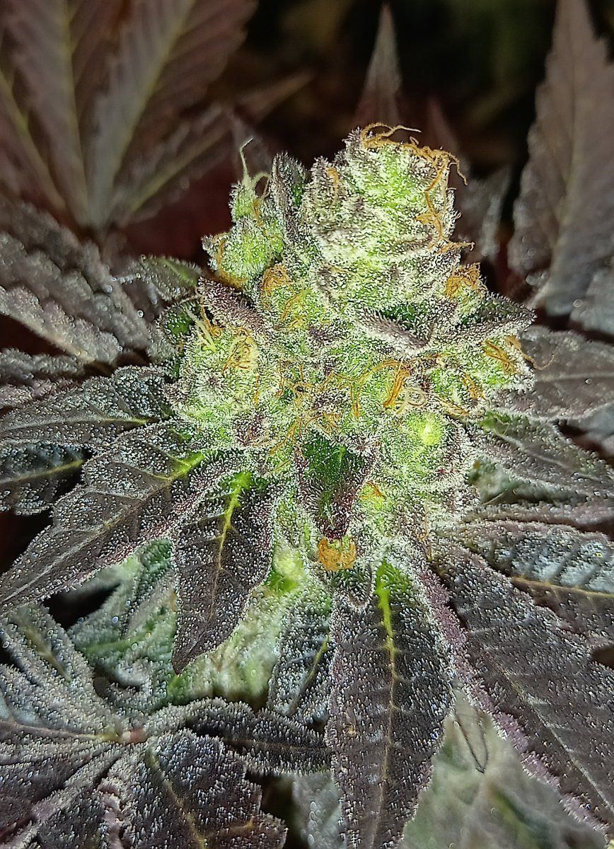 20211028 222518