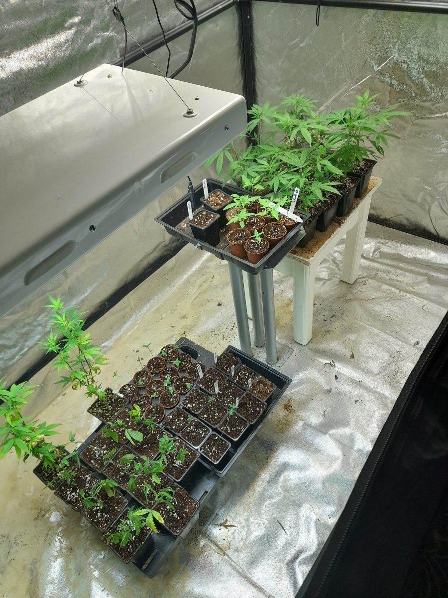 20211113 011636