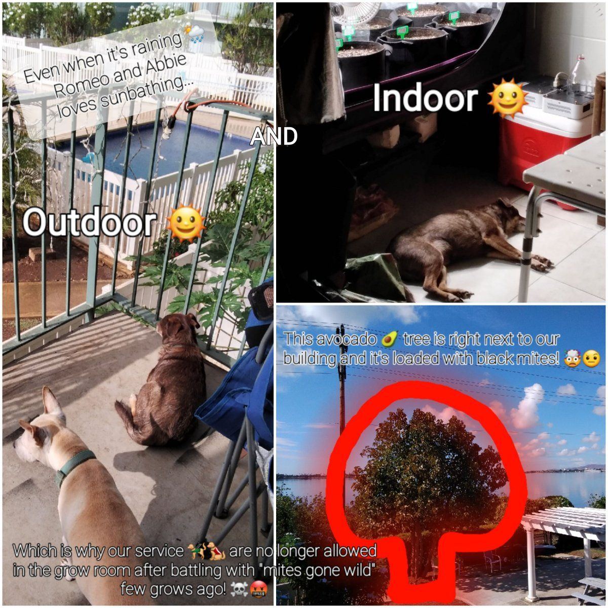 20211202 130725