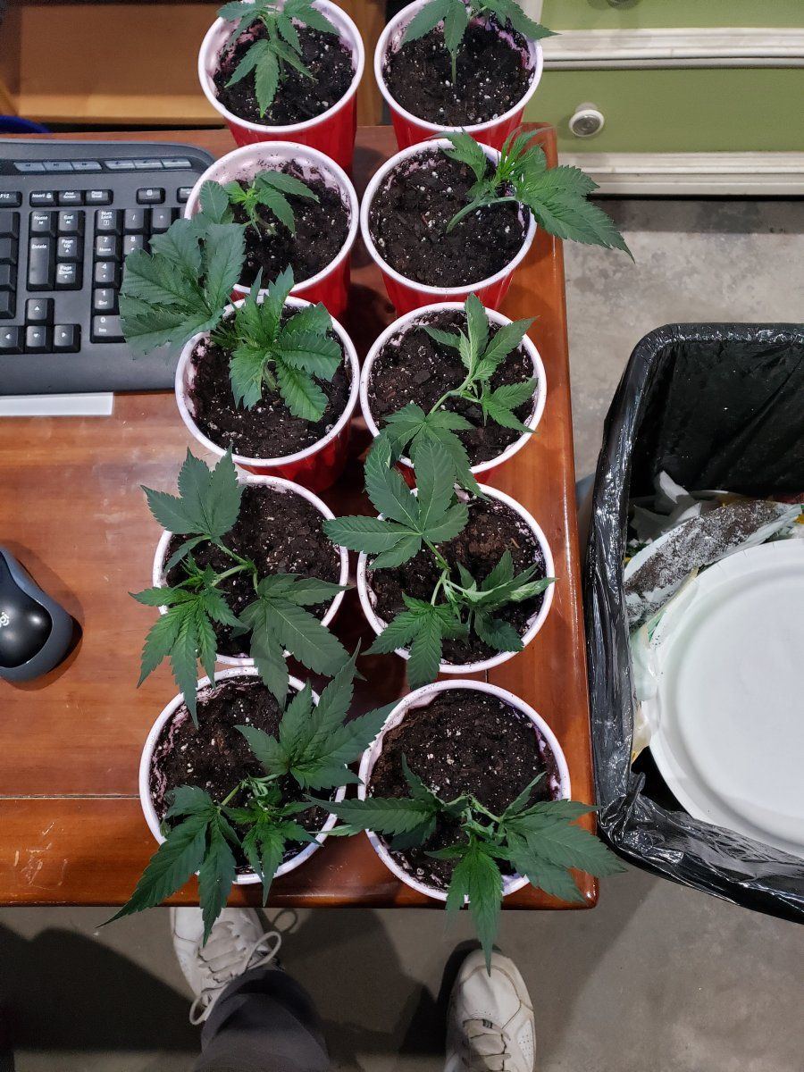 20211205 100228