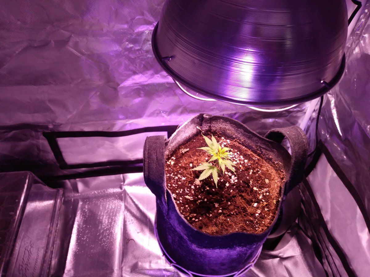 20211212 175846